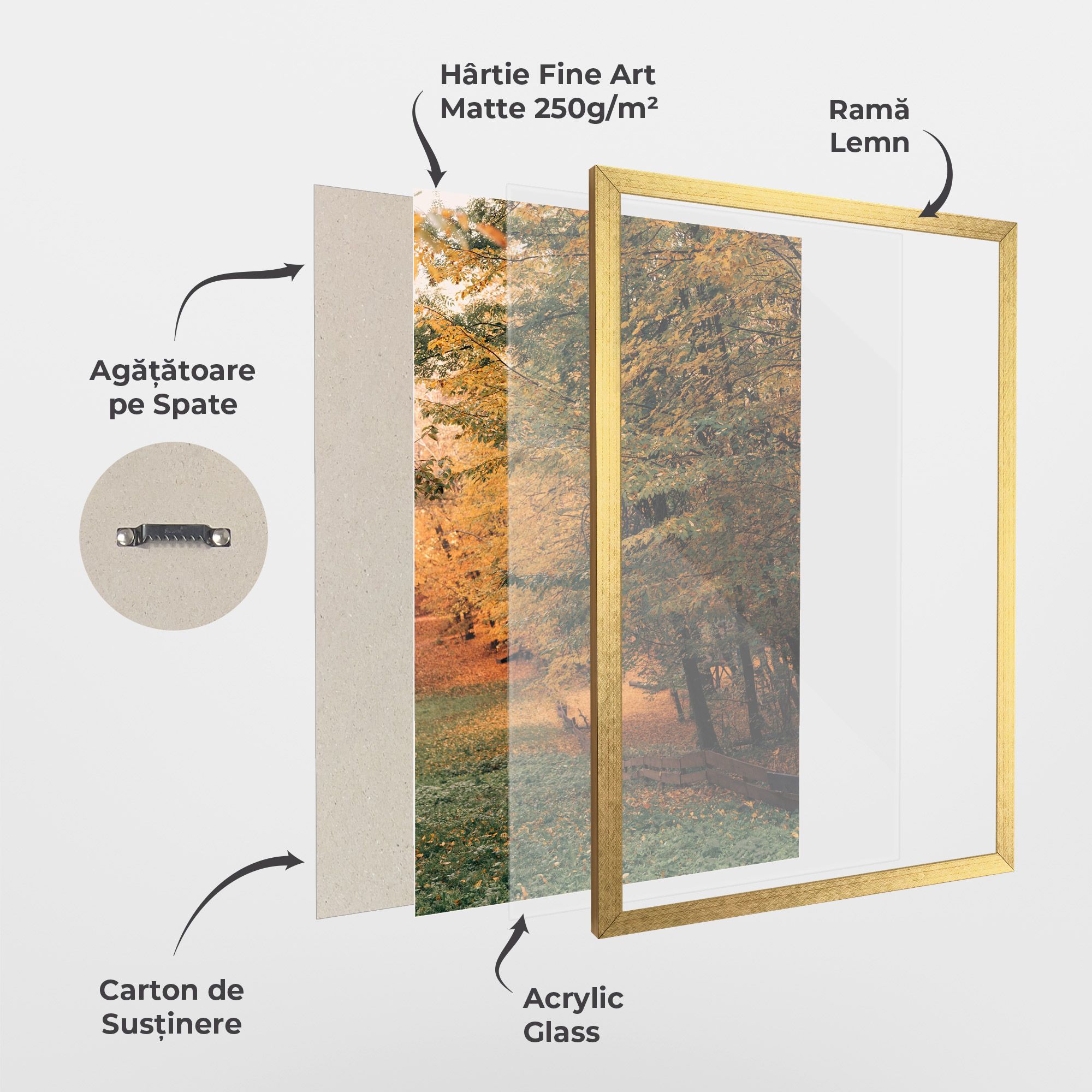 Autumn Forest mockup 1