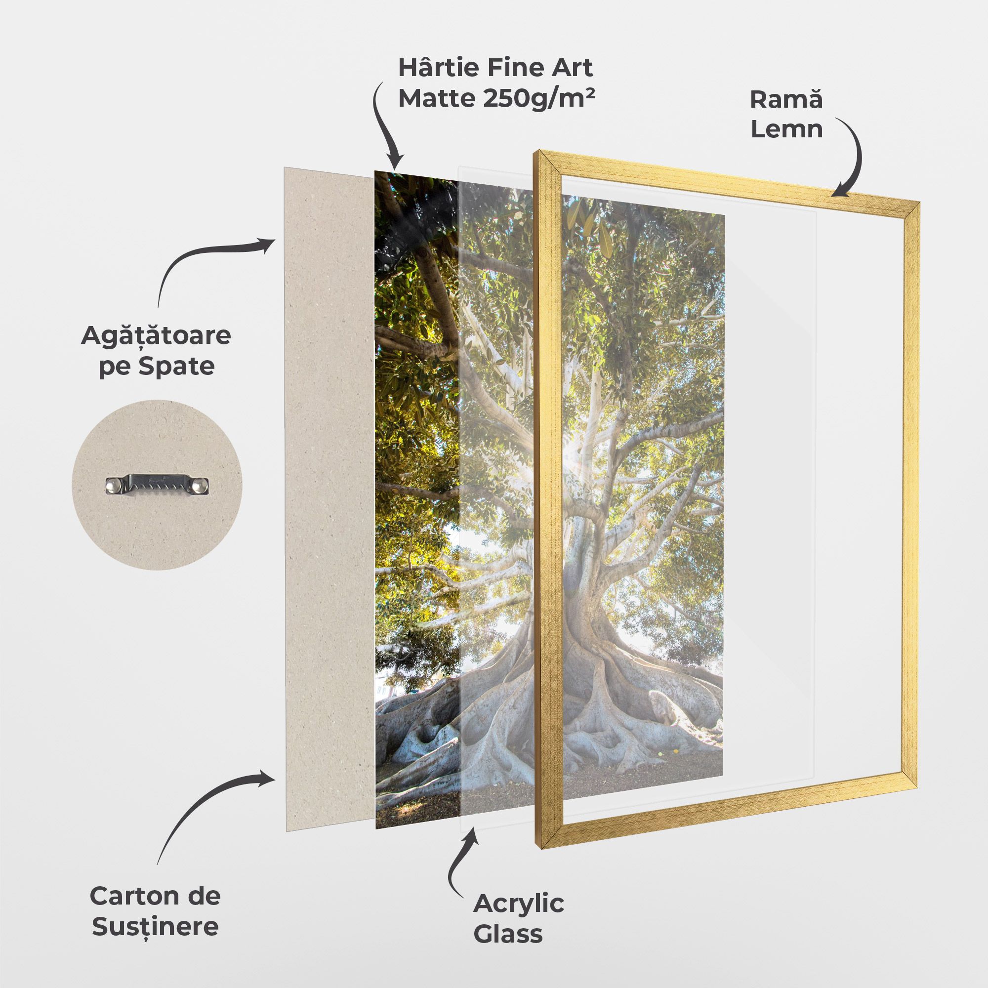 Big Old Tree mockup 1