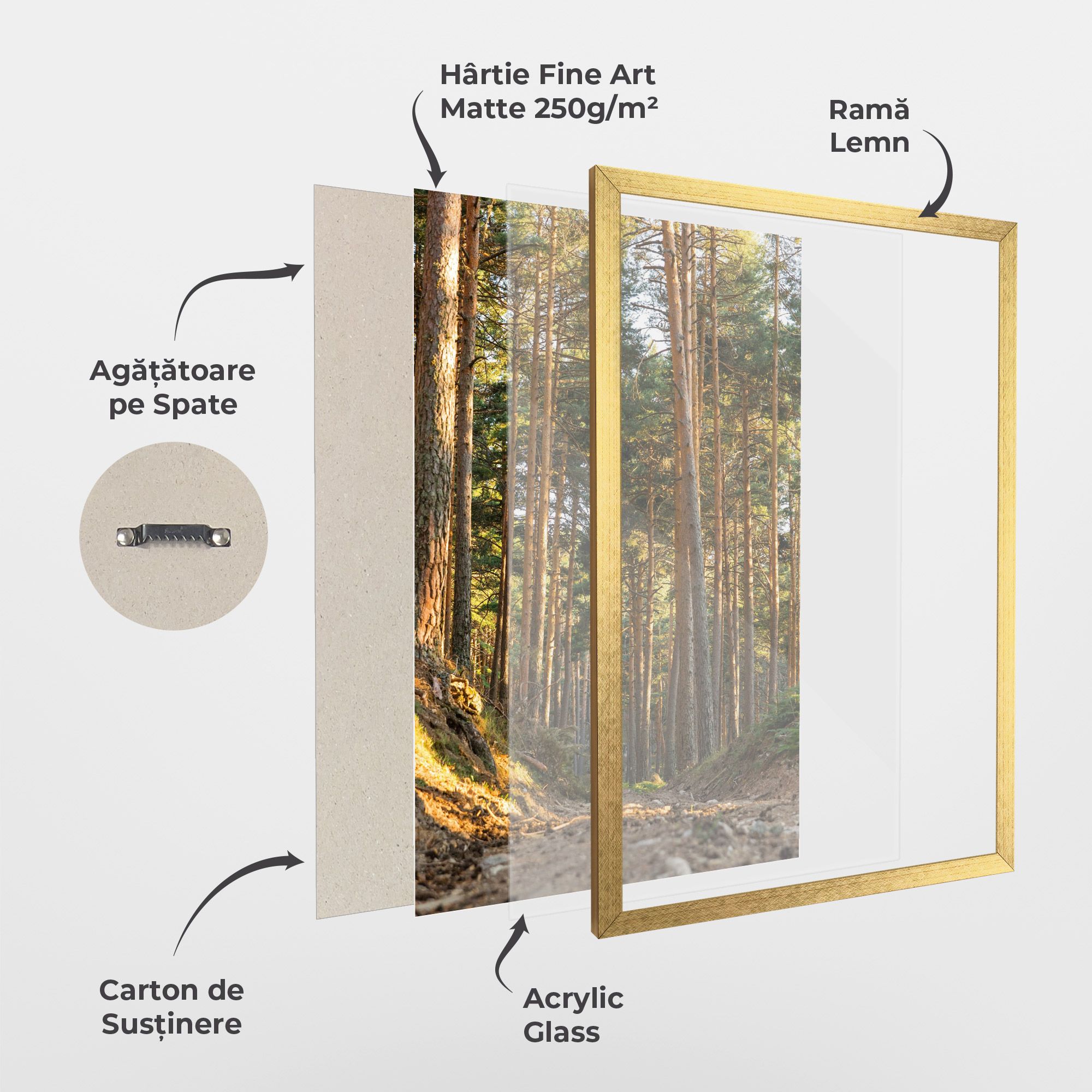 Big Trees Forest mockup 1