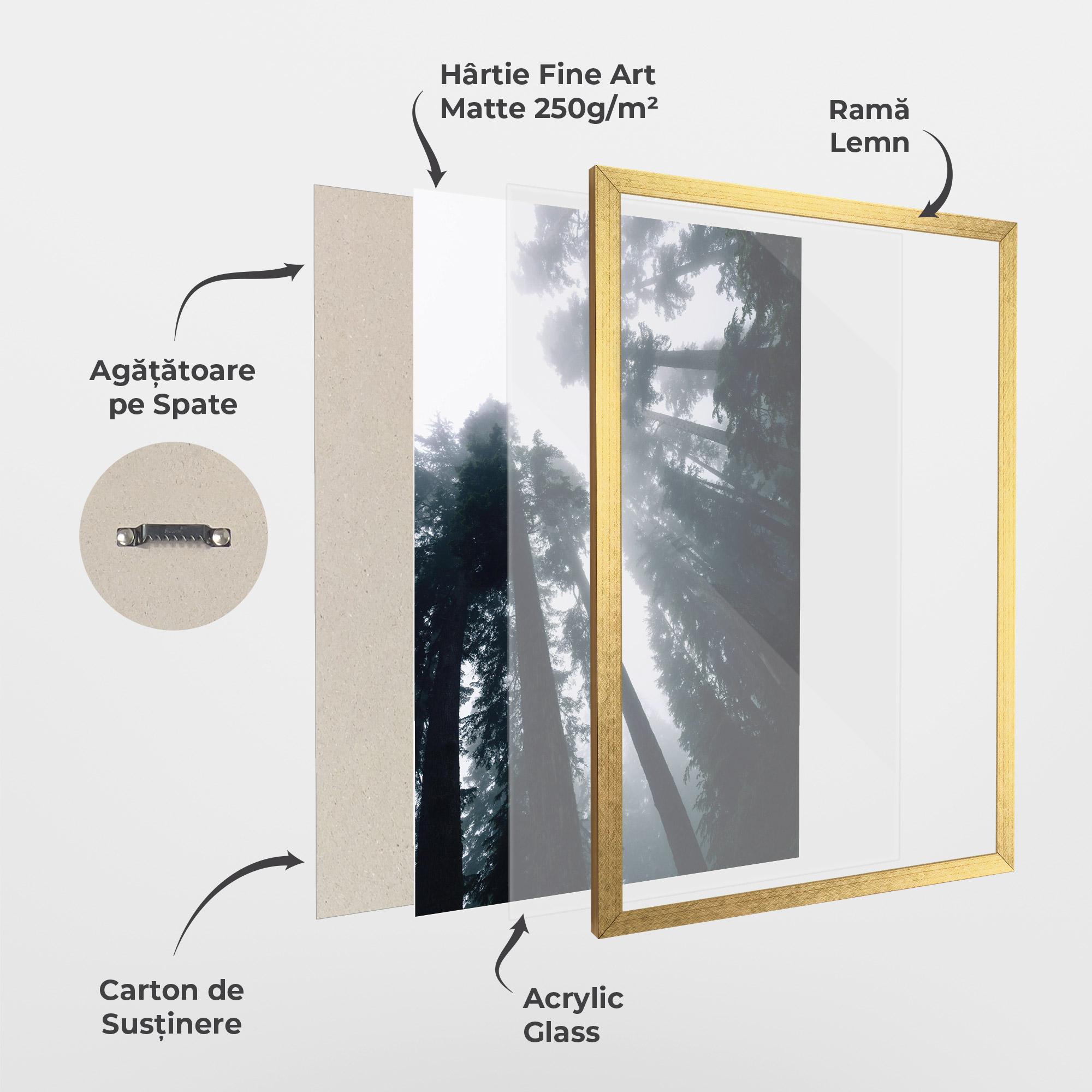 Poster Înrămat Foggy Big Trees mockup 1