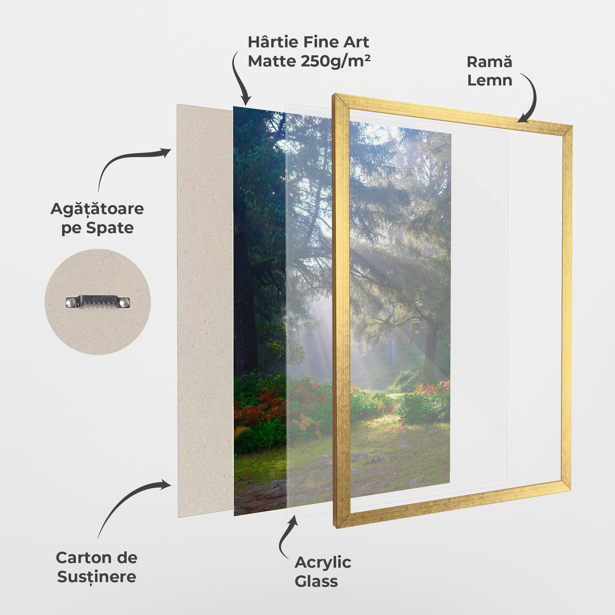 Poster Înrămat Forest Light mockup 1