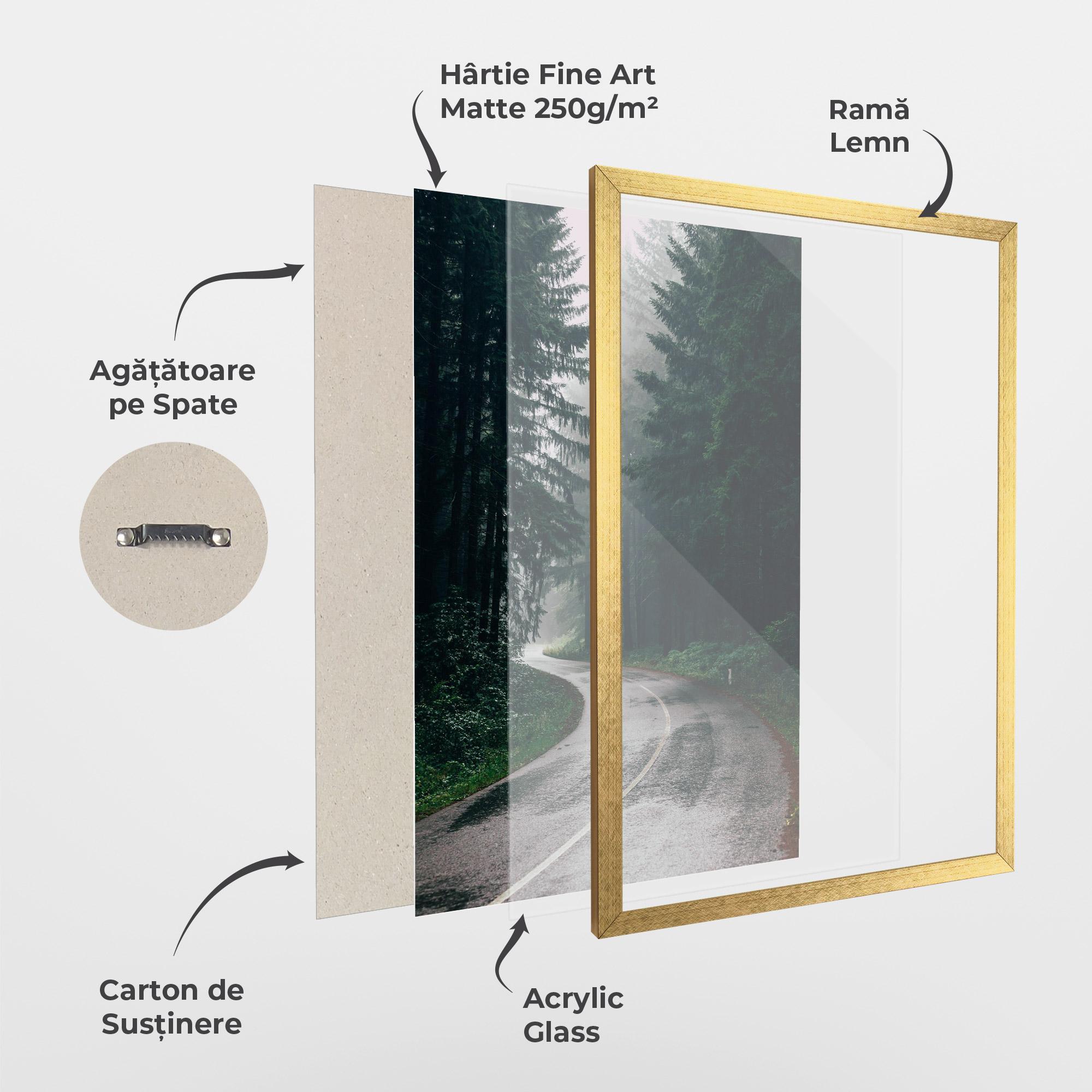 Poster Înrămat Rainy Road Forest mockup 1