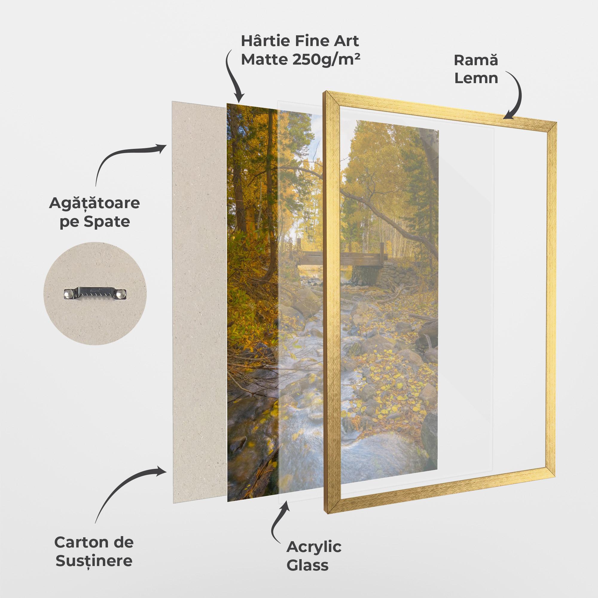 Poster Înrămat Yellow View Forest mockup 1