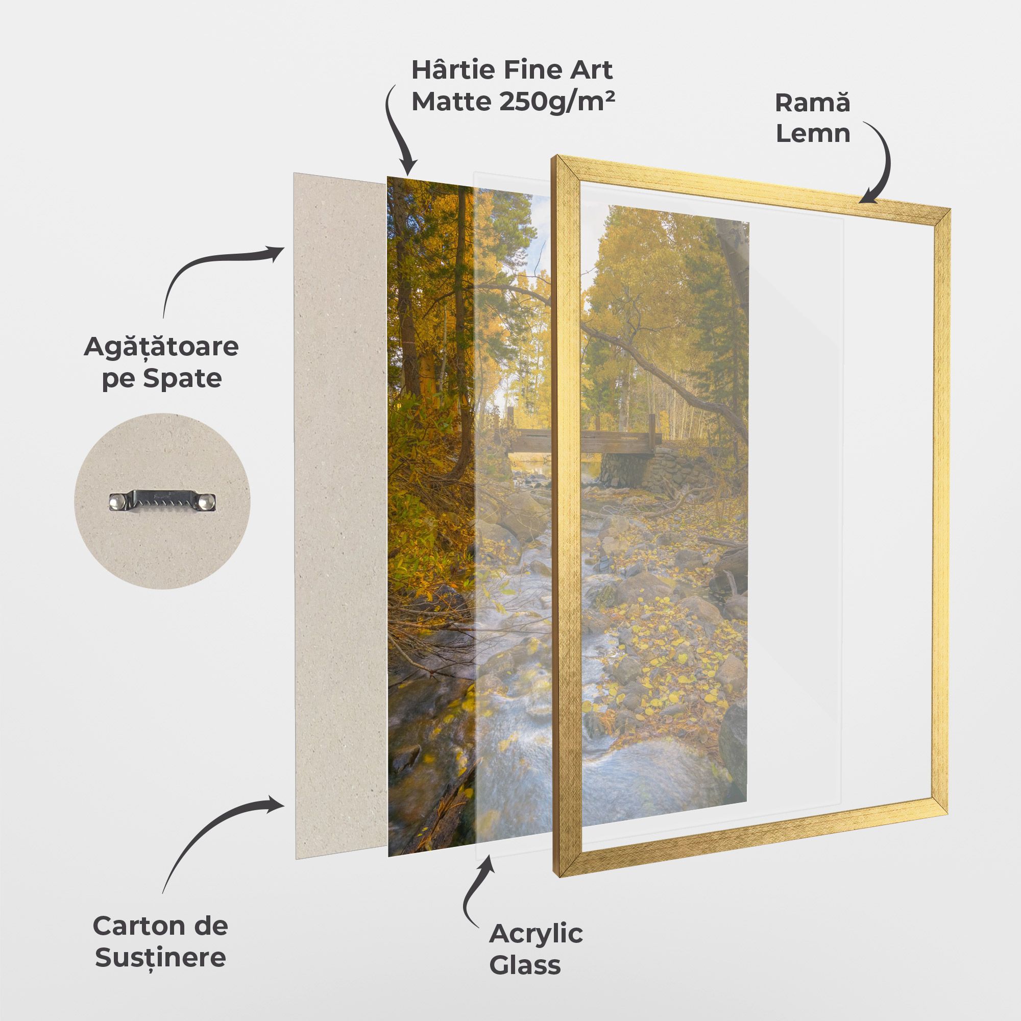 Yellow View Forest mockup 1