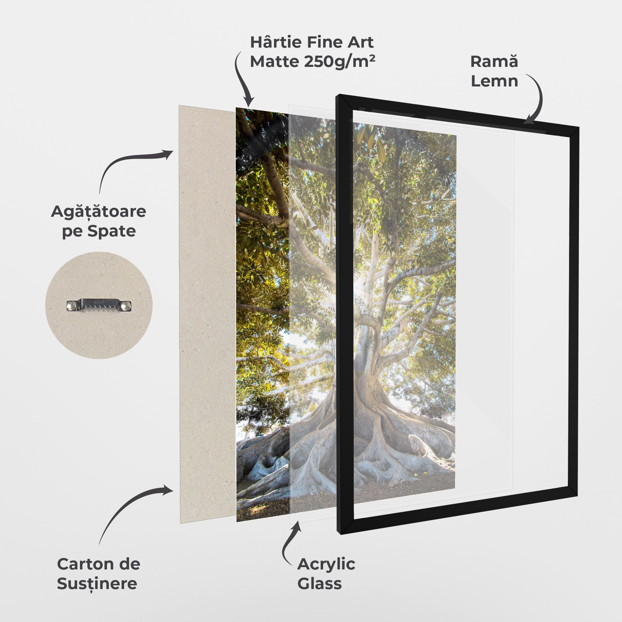 Big Old Tree mockup 1