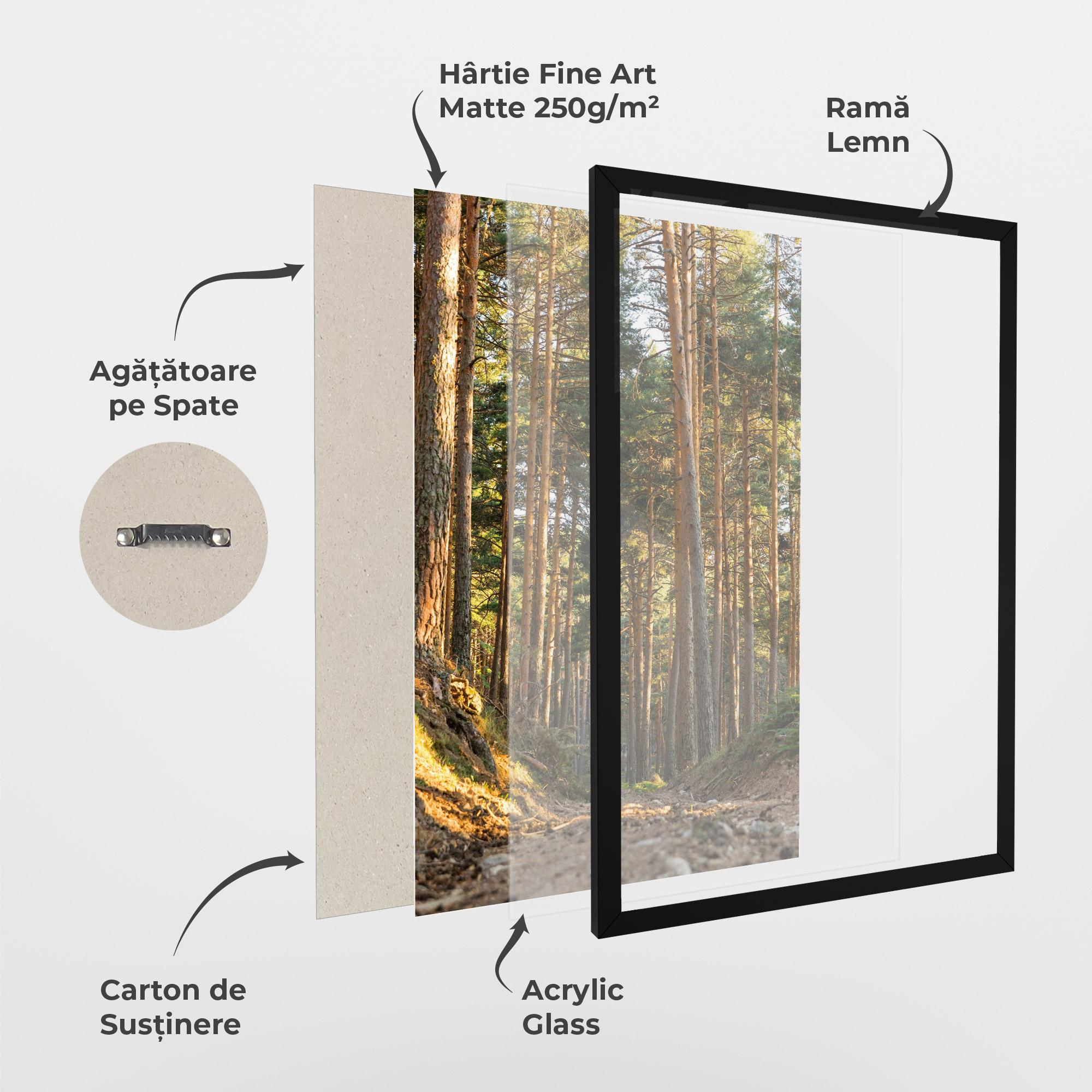 Poster Înrămat Big Trees Forest mockup 1