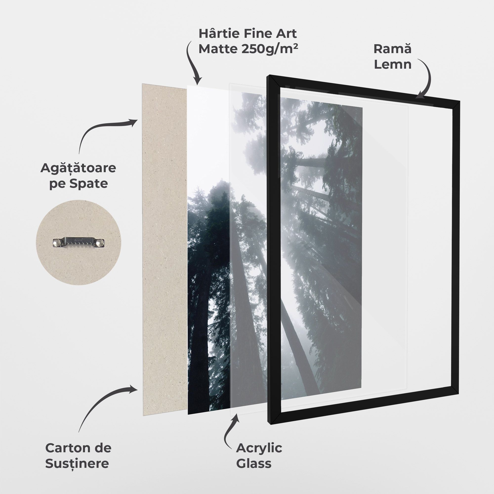 Foggy Big Trees mockup 1