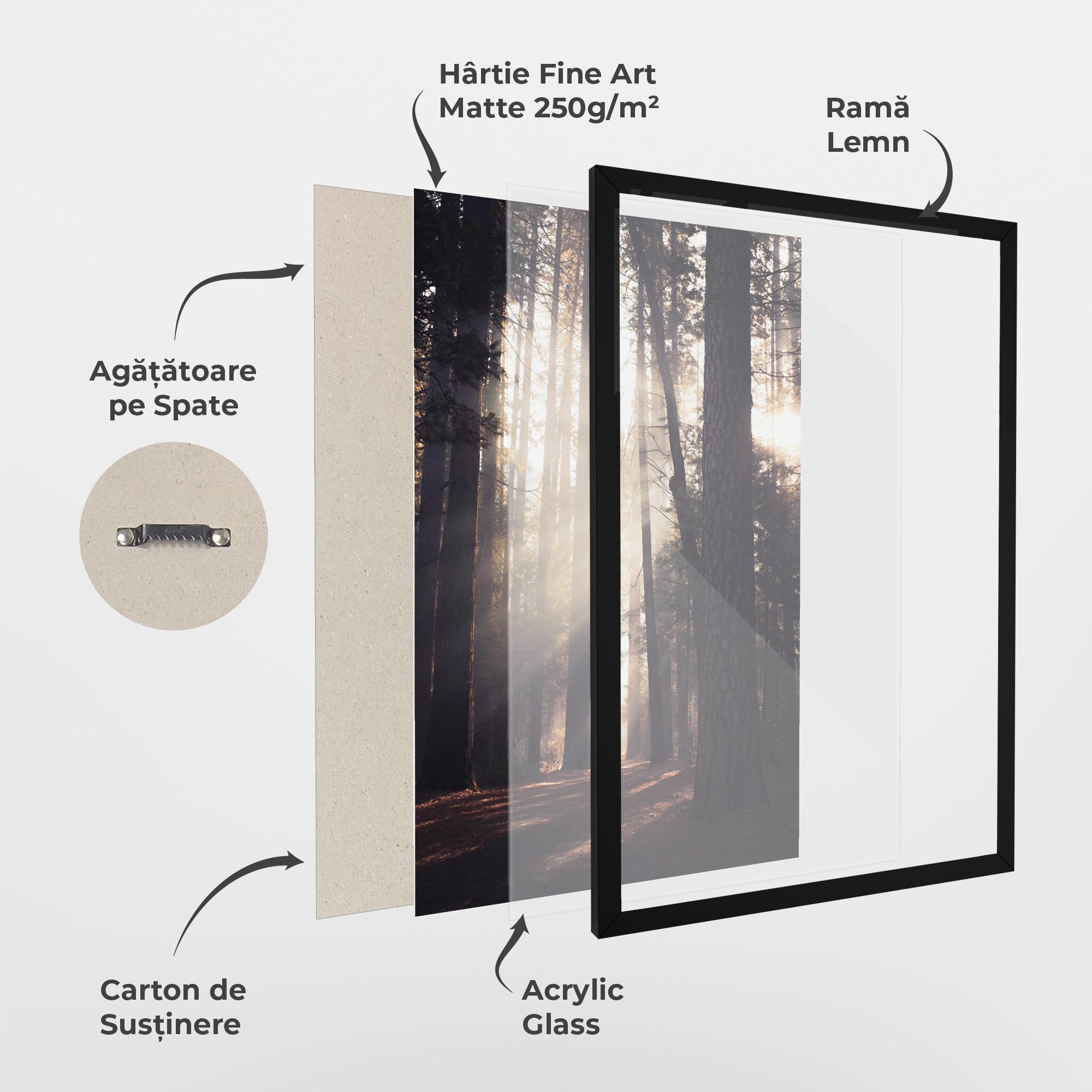 Poster Înrămat Foggy Couple Forest mockup 1