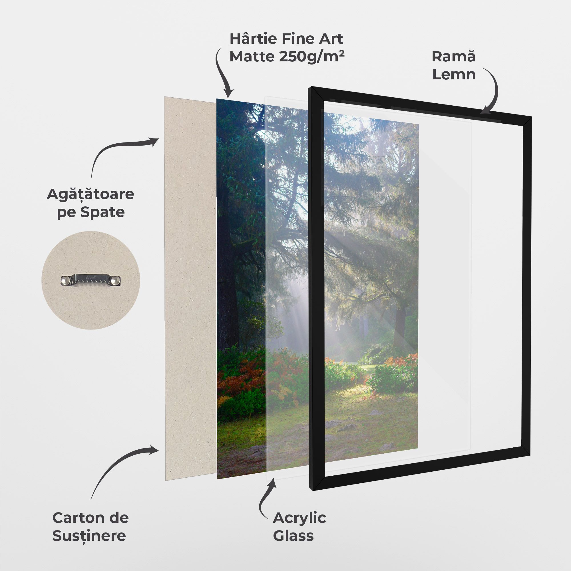 Forest Light mockup 1