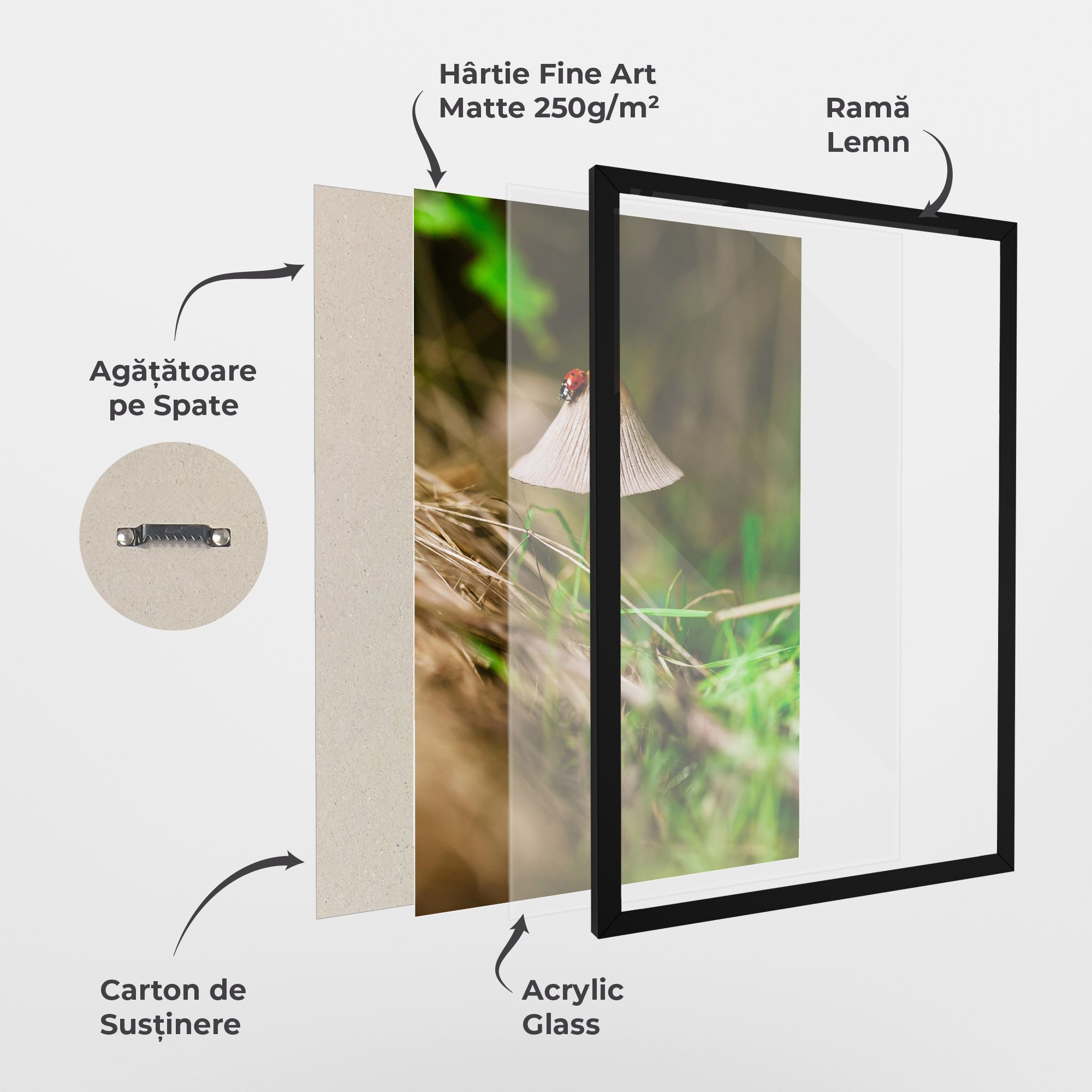 Mushroom Forest mockup 1