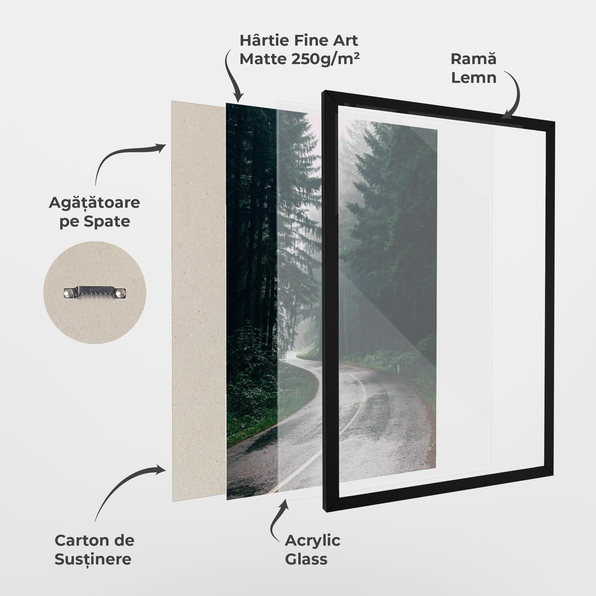 Poster Înrămat Rainy Road Forest mockup 1