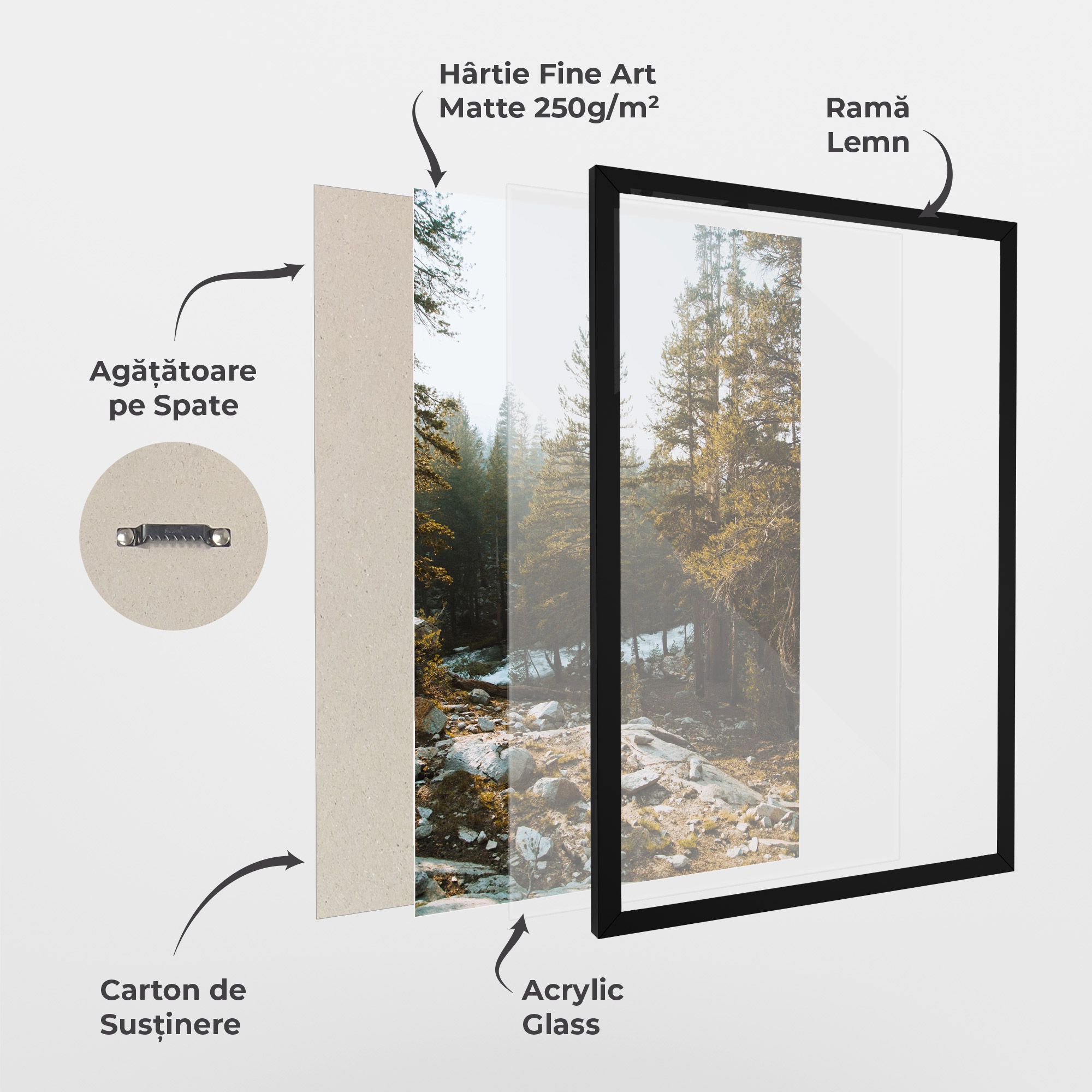 Rock Forest View mockup 1