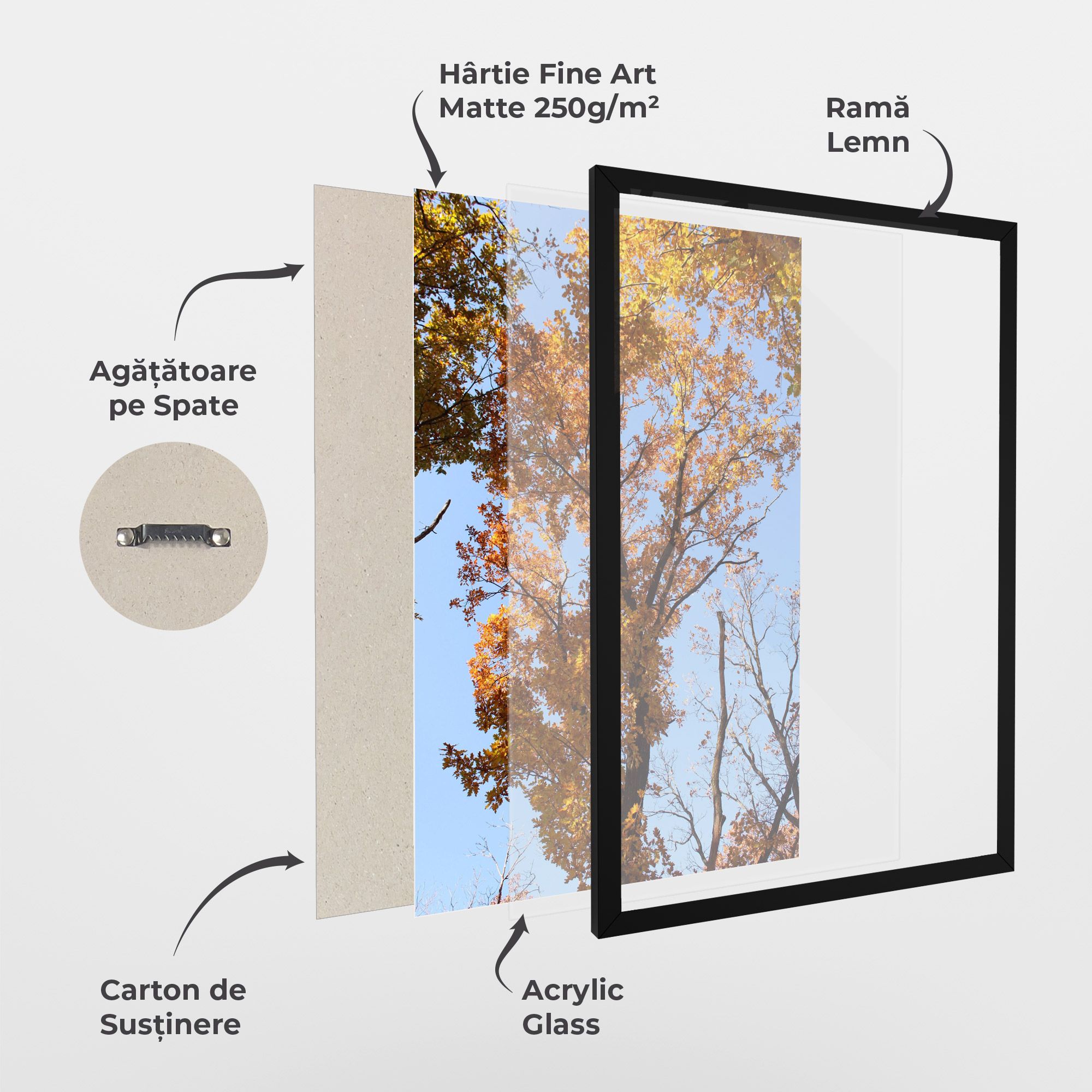 Yellow Tree Forest mockup 1