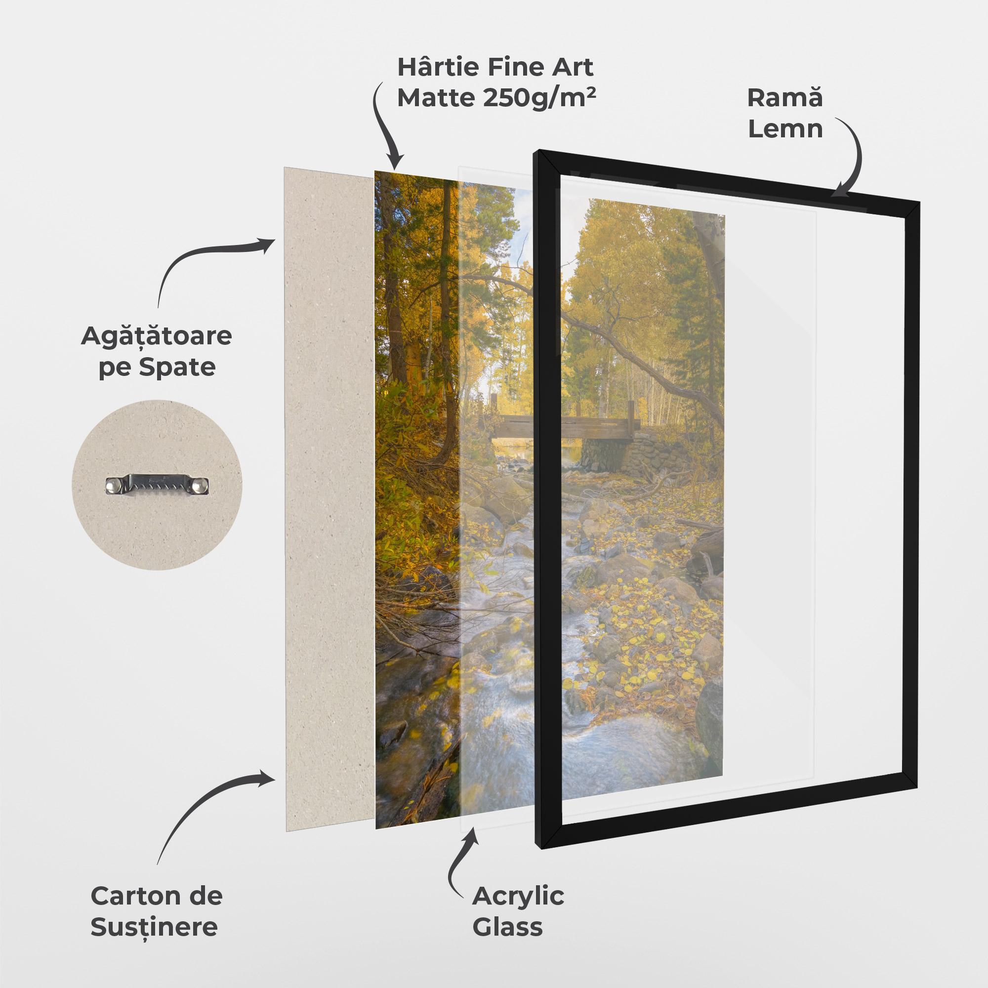 Poster Înrămat Yellow View Forest mockup 1