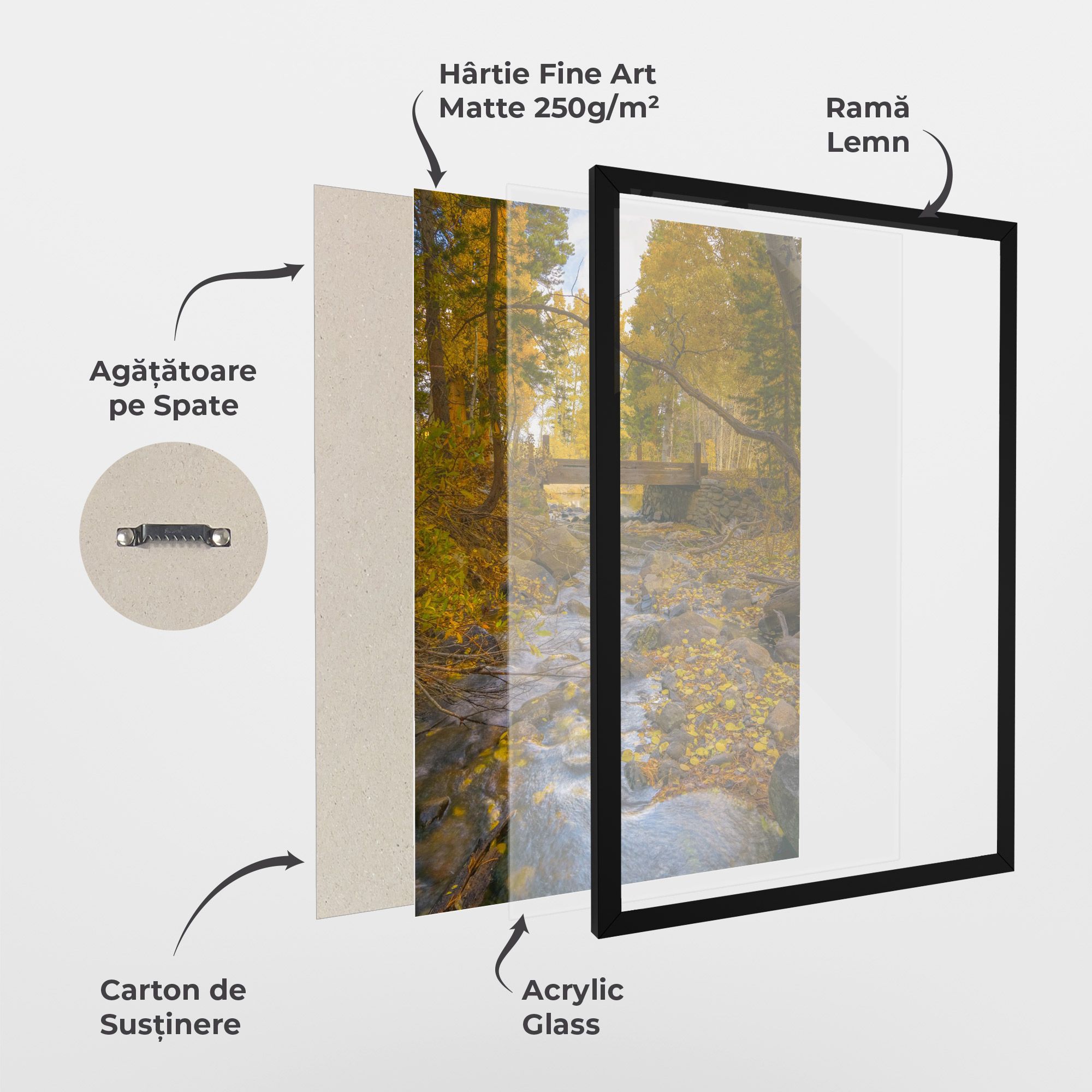 Yellow View Forest mockup 1