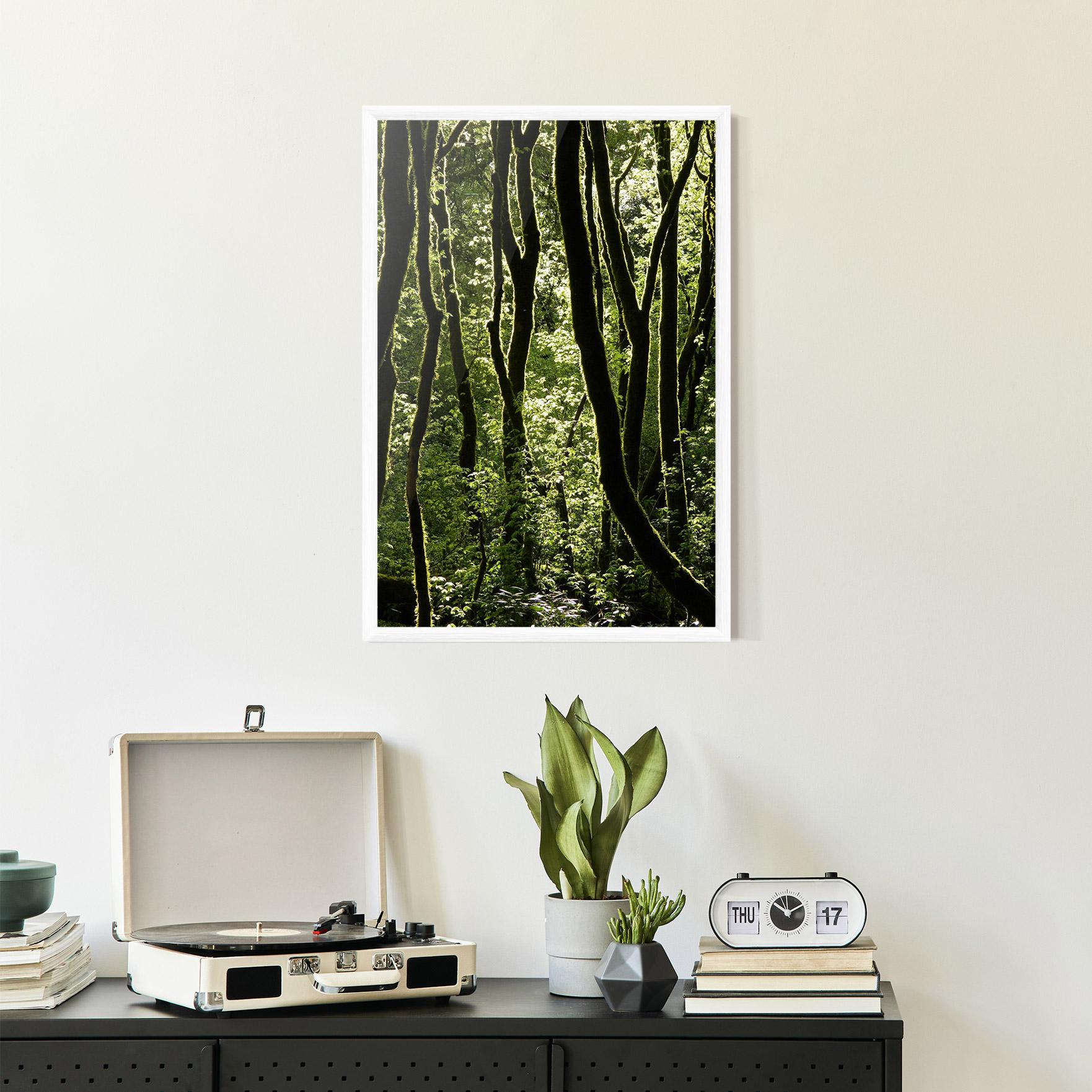 Poster Înrămat Forest Black Trees mockup 2