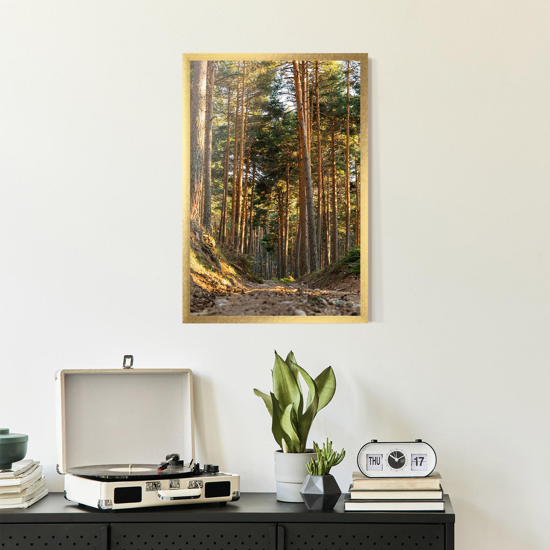 Poster Înrămat Big Trees Forest mockup 2