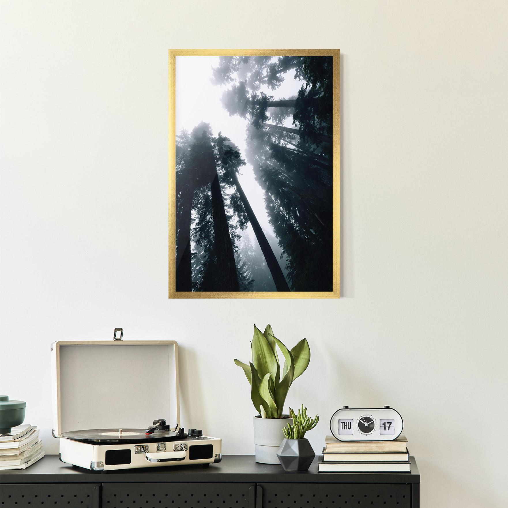 Poster Înrămat Foggy Big Trees mockup 2