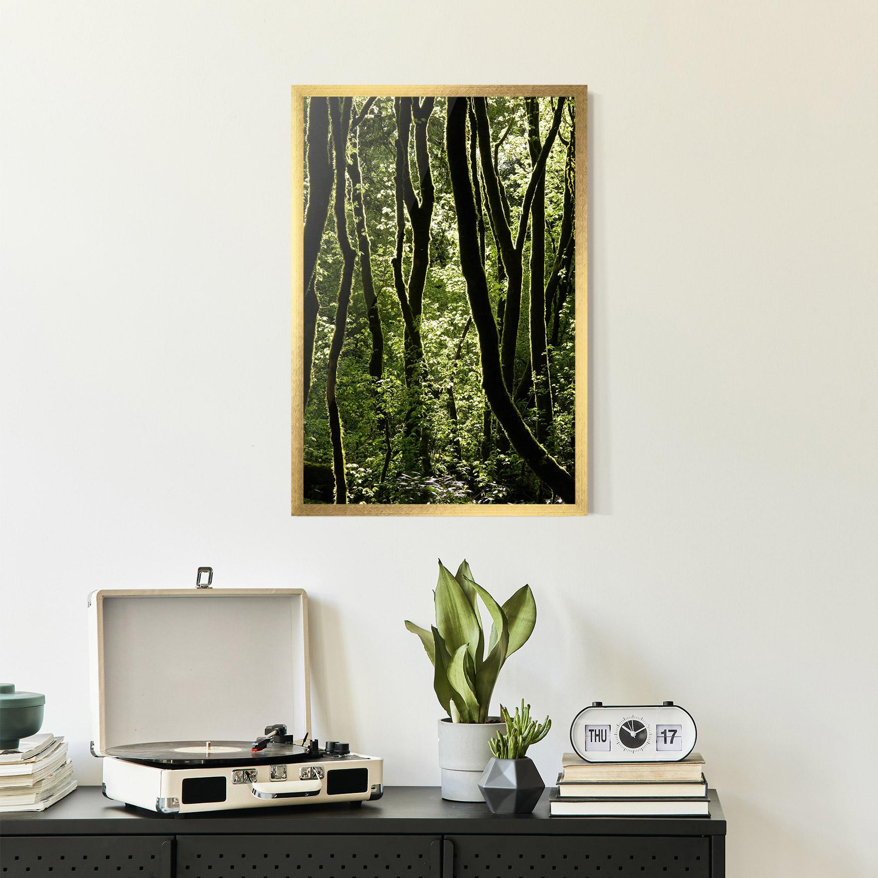 Poster Înrămat Forest Black Trees mockup 2