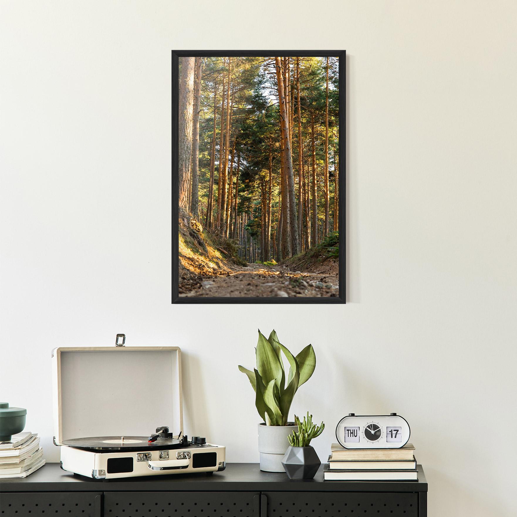 Poster Înrămat Big Trees Forest mockup 2