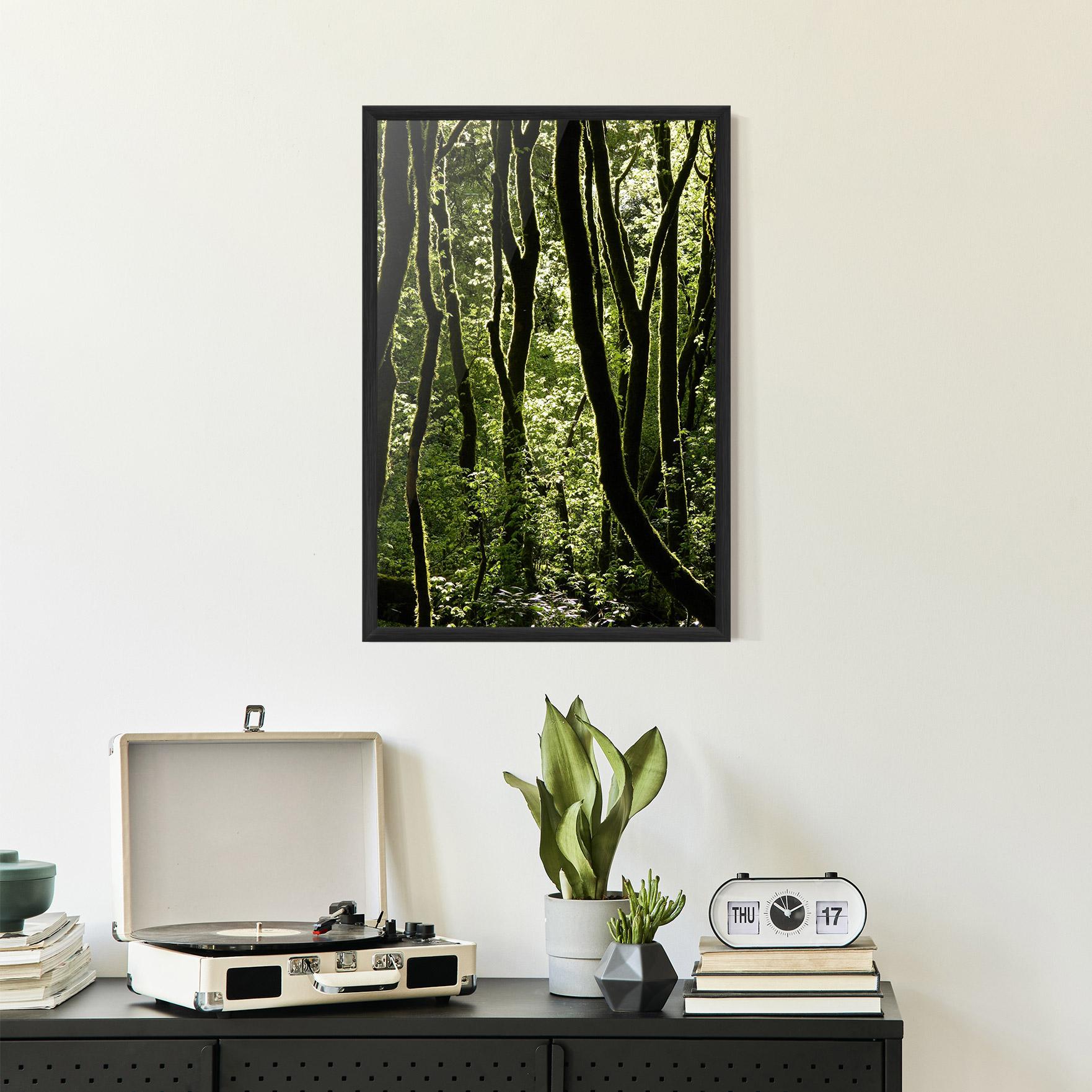 Poster Înrămat Forest Black Trees mockup 2