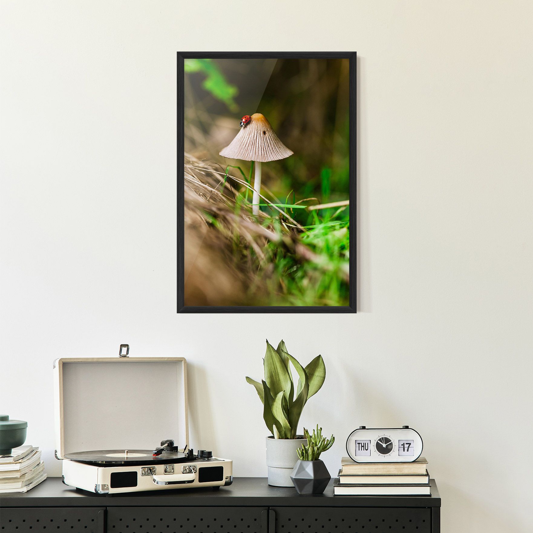 Mushroom Forest mockup 2