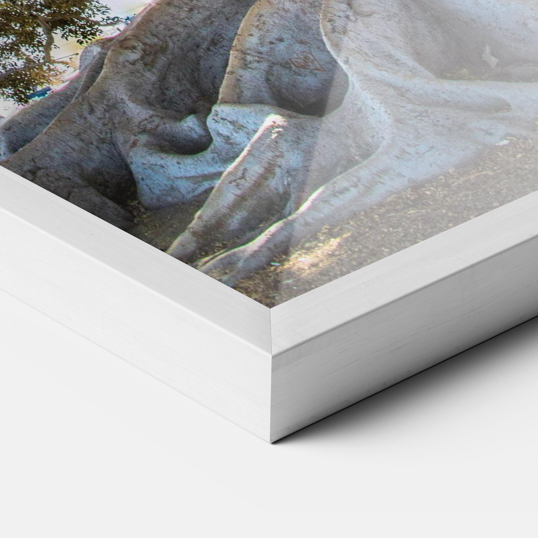 Poster Înrămat Big Old Tree mockup 3