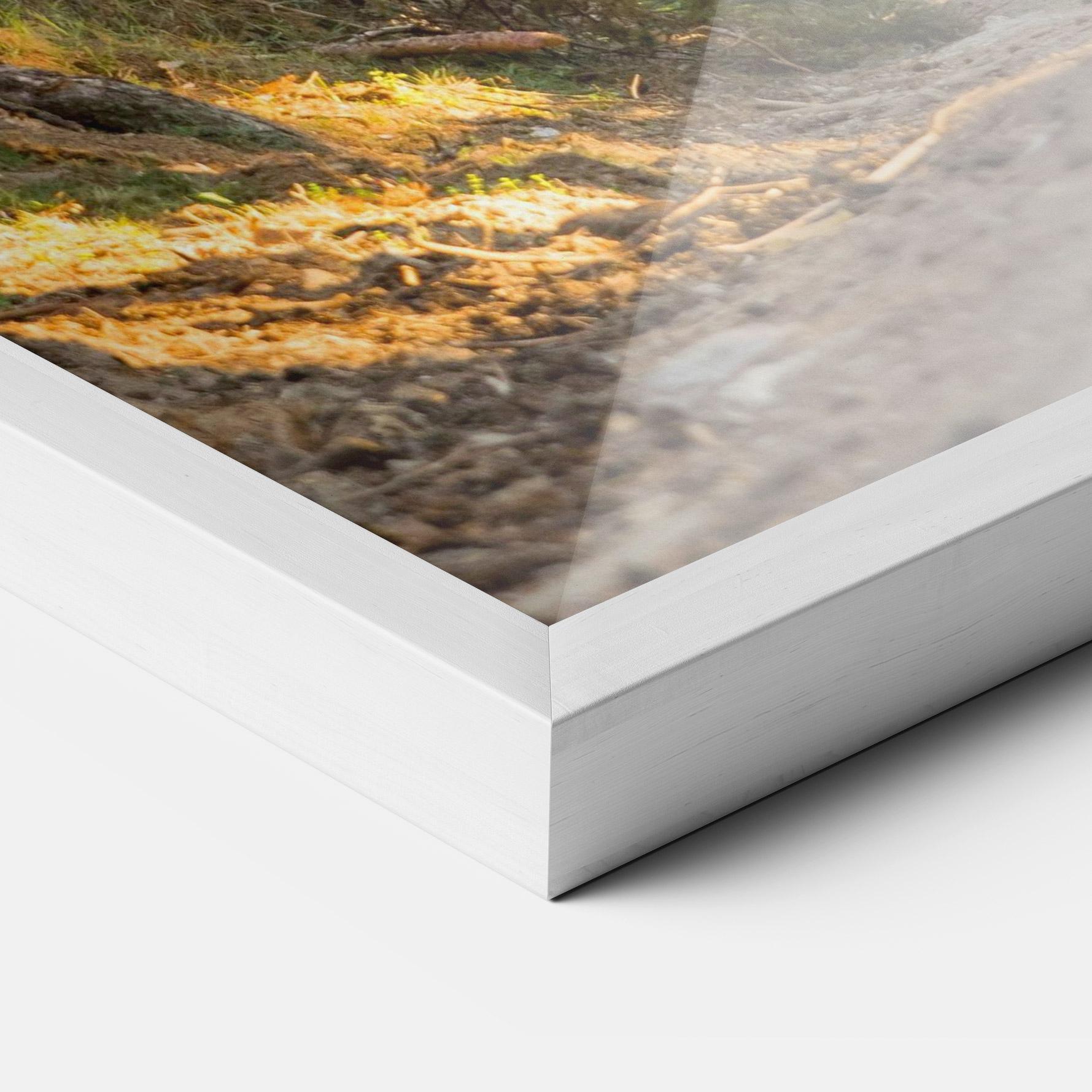 Poster Înrămat Big Trees Forest mockup 3