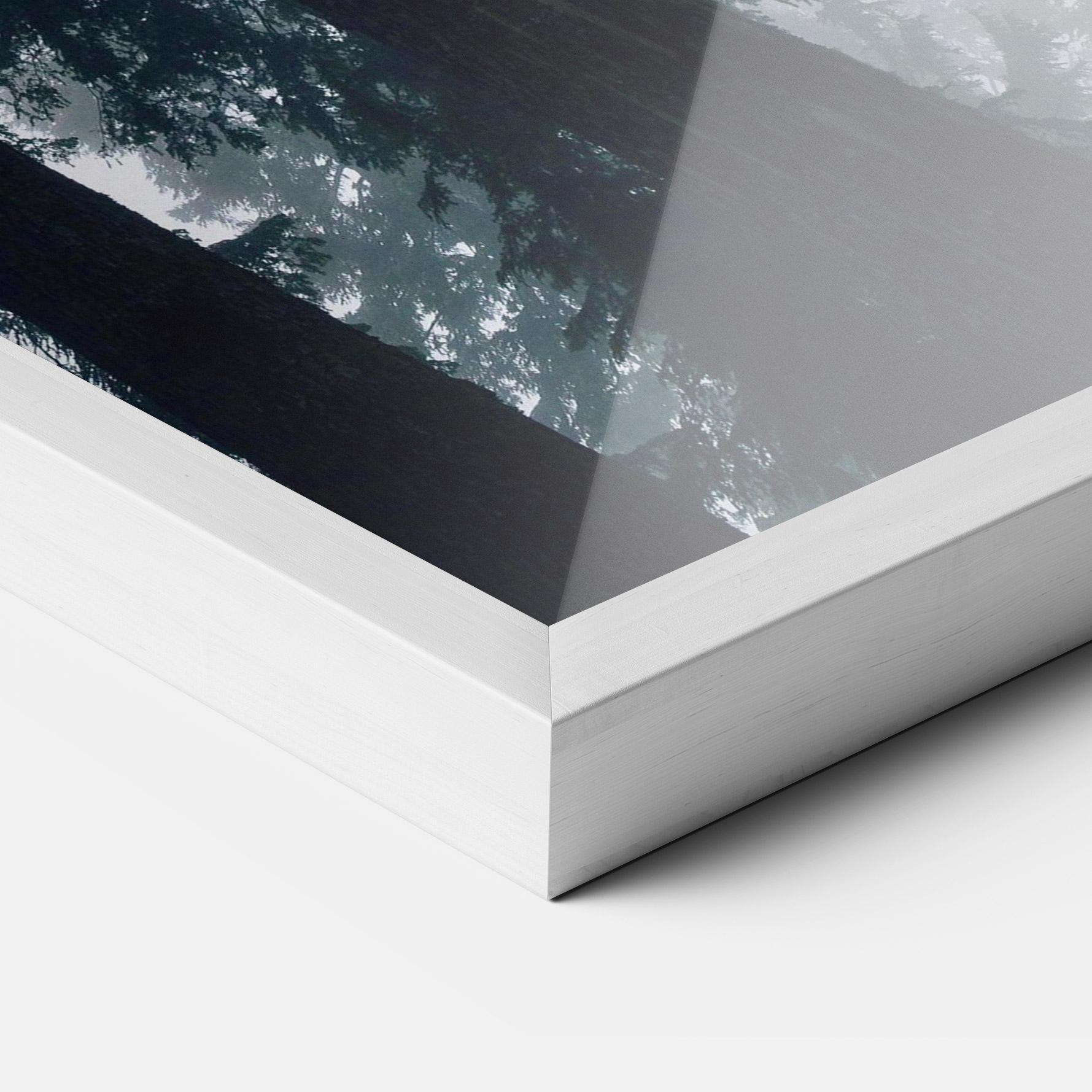 Poster Înrămat Foggy Big Trees mockup 3