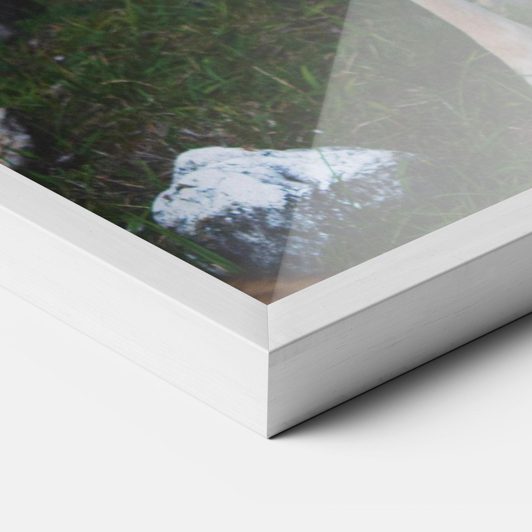 Forest Cute Deer mockup 3