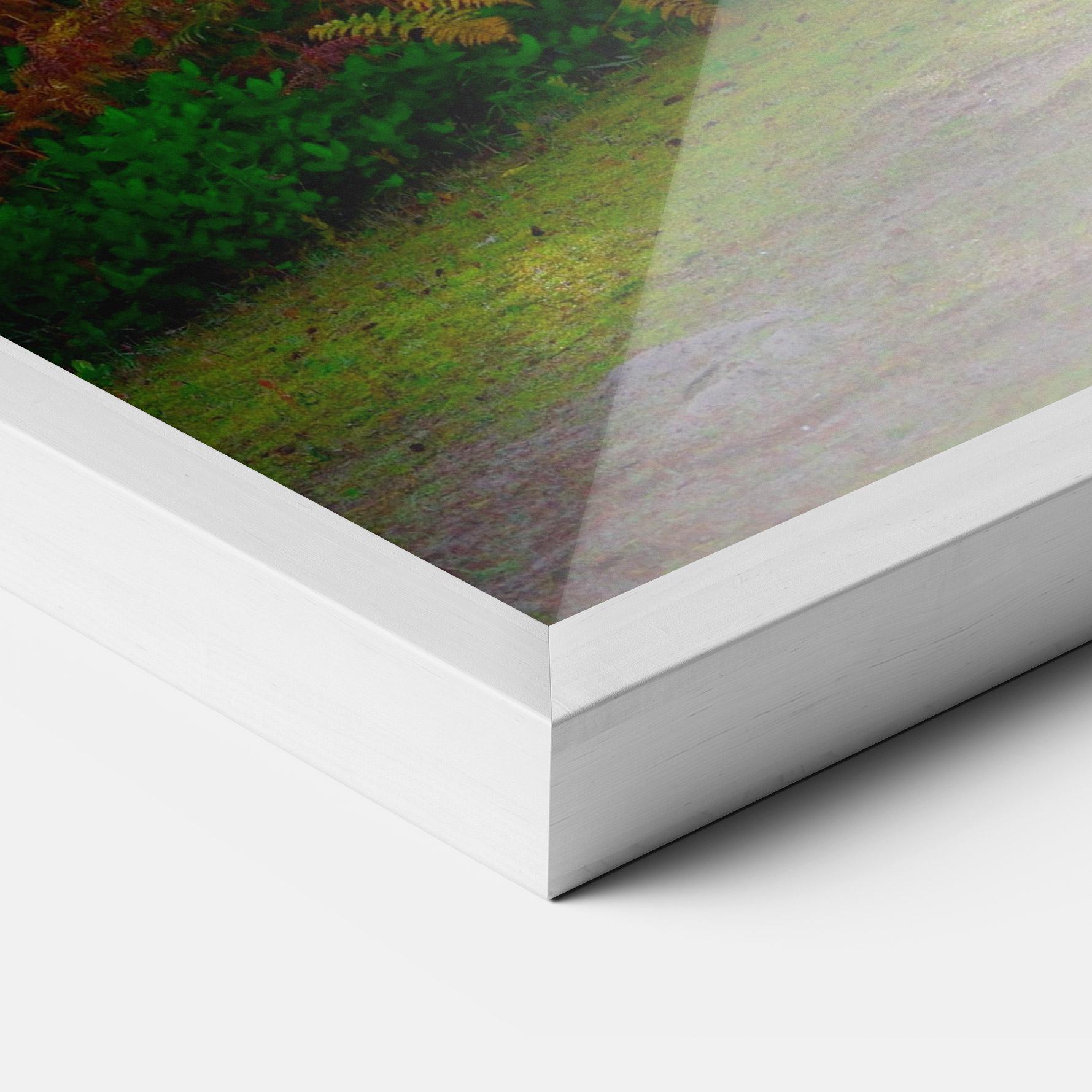 Poster Înrămat Forest Light mockup 3