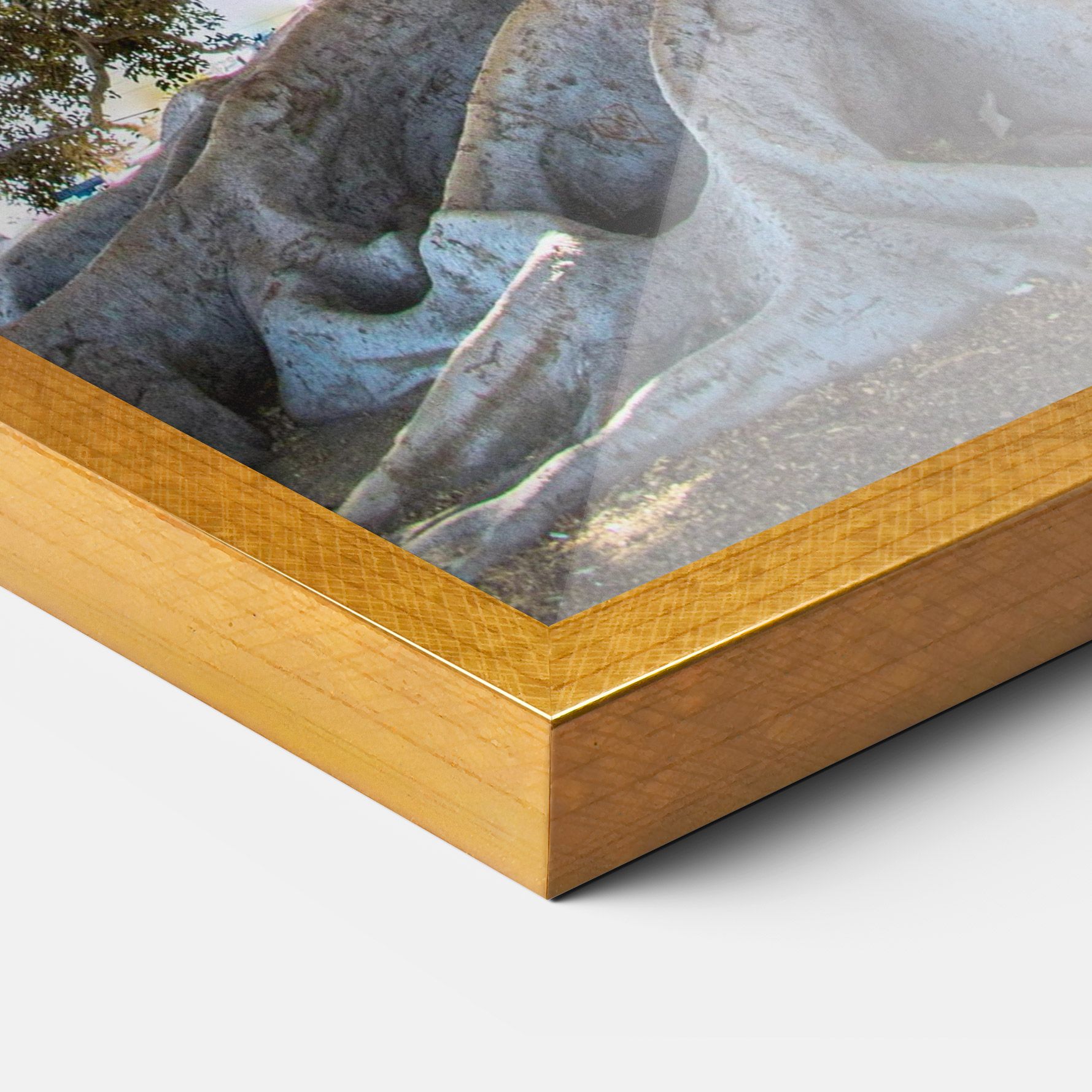 Big Old Tree mockup 3