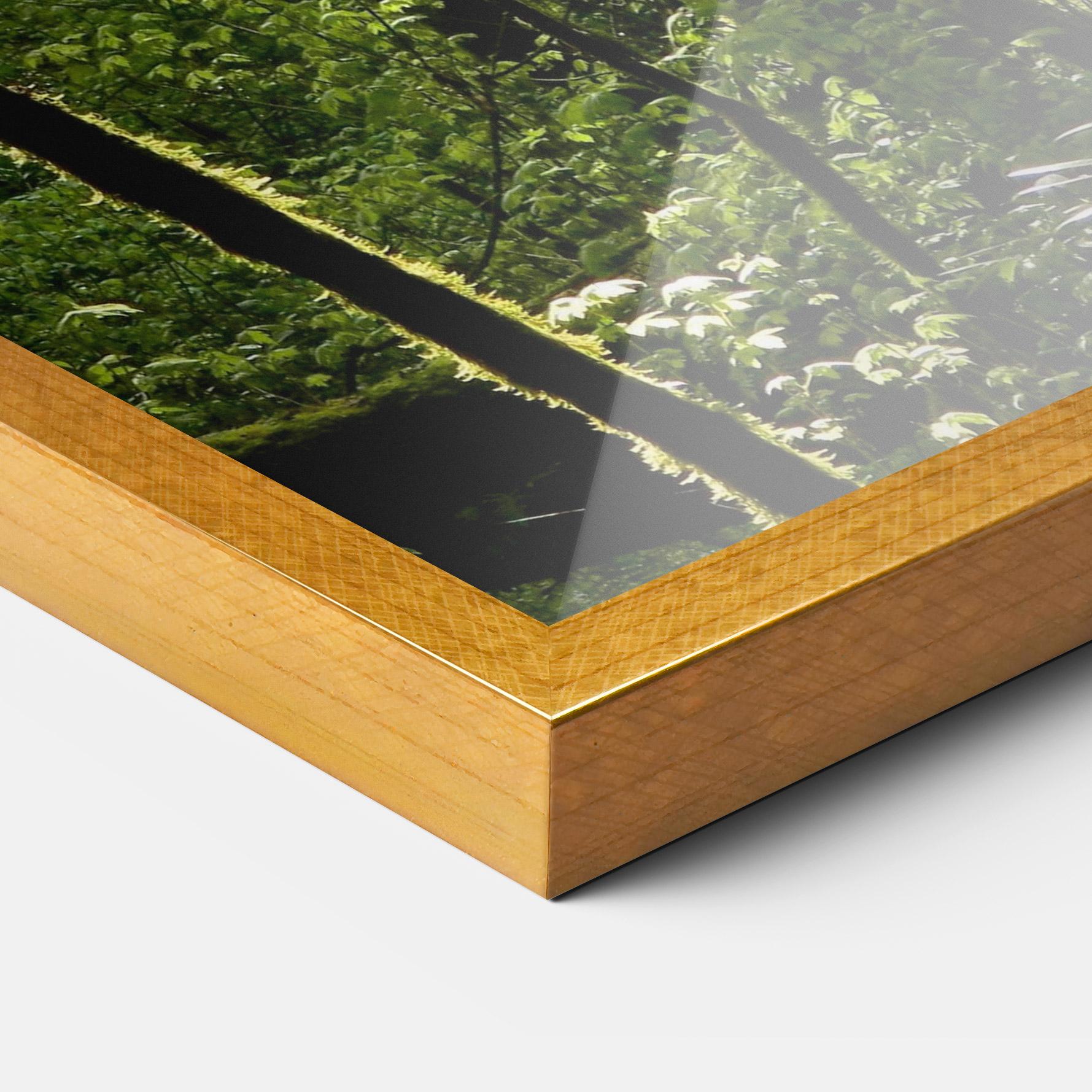 Poster Înrămat Forest Black Trees mockup 3