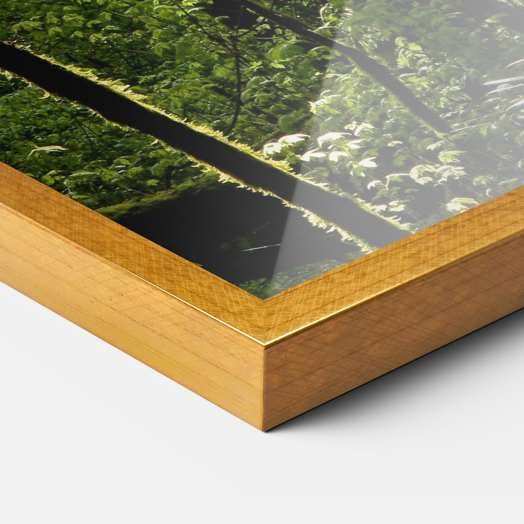 Forest Black Trees mockup 3