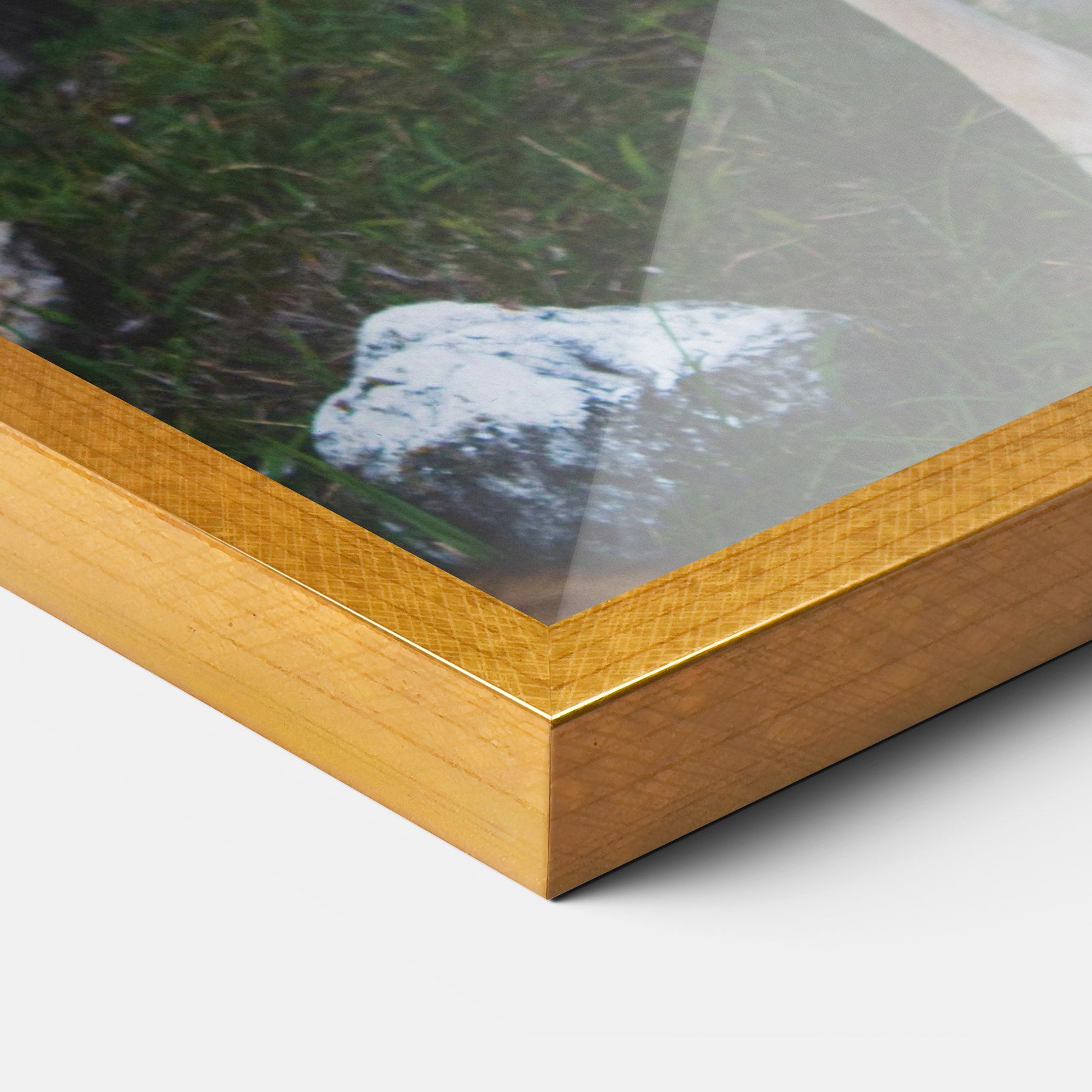 Forest Cute Deer mockup 3