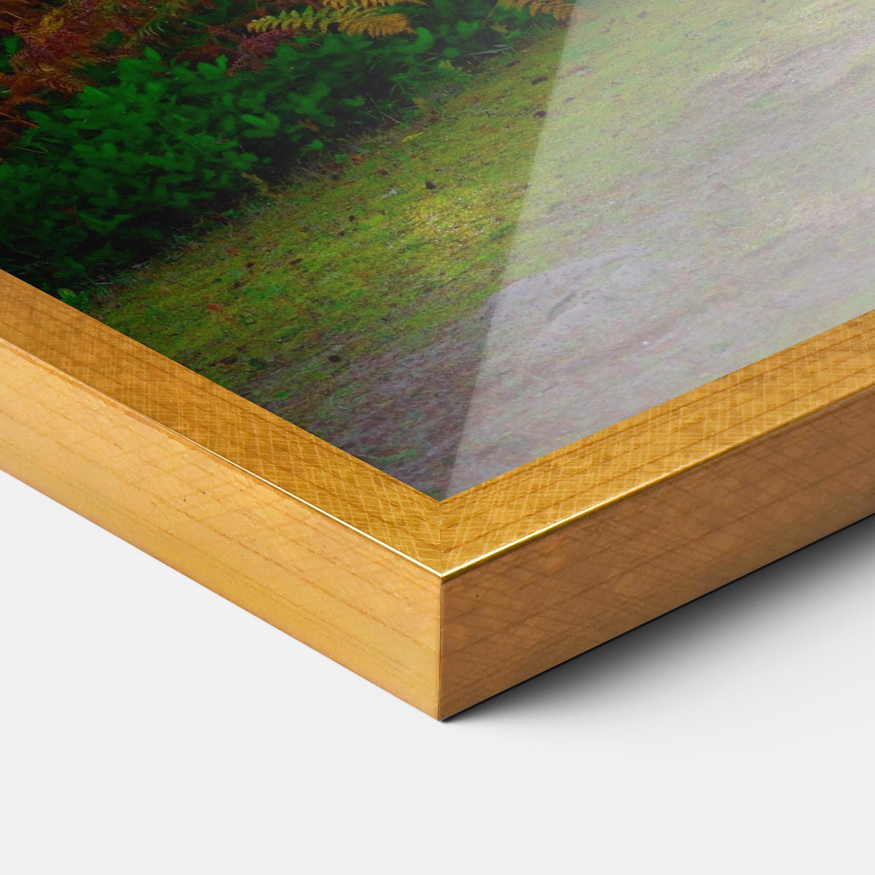 Poster Înrămat Forest Light mockup 3