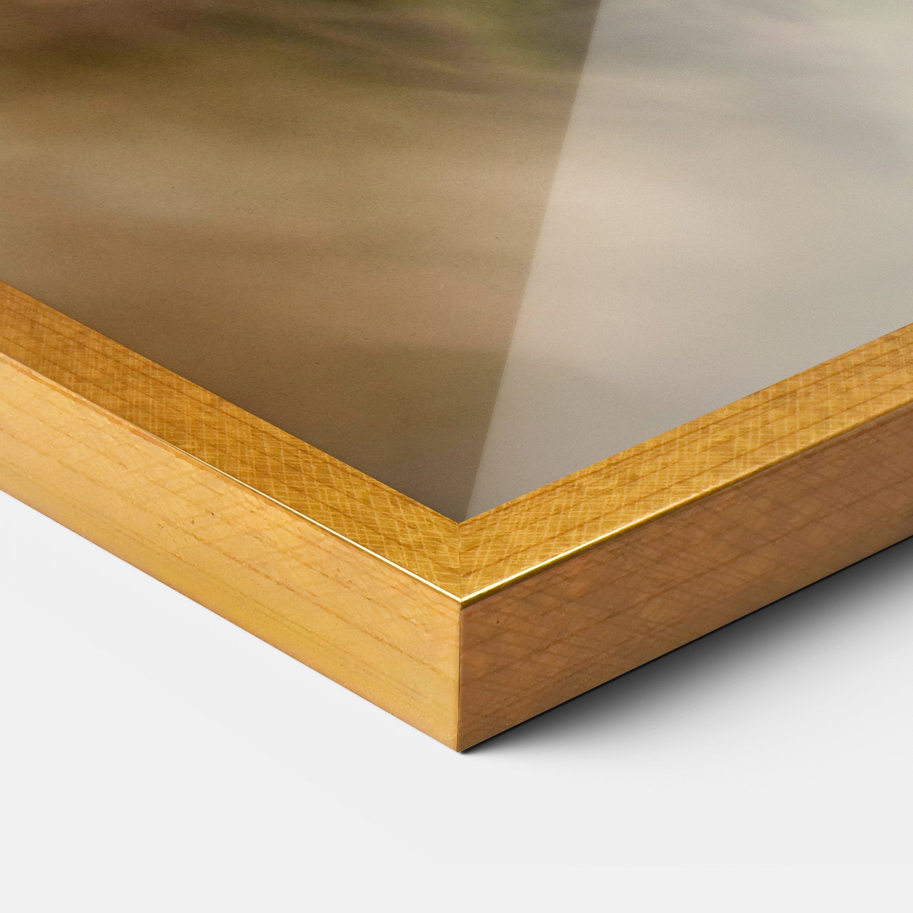 Mushroom Forest mockup 3