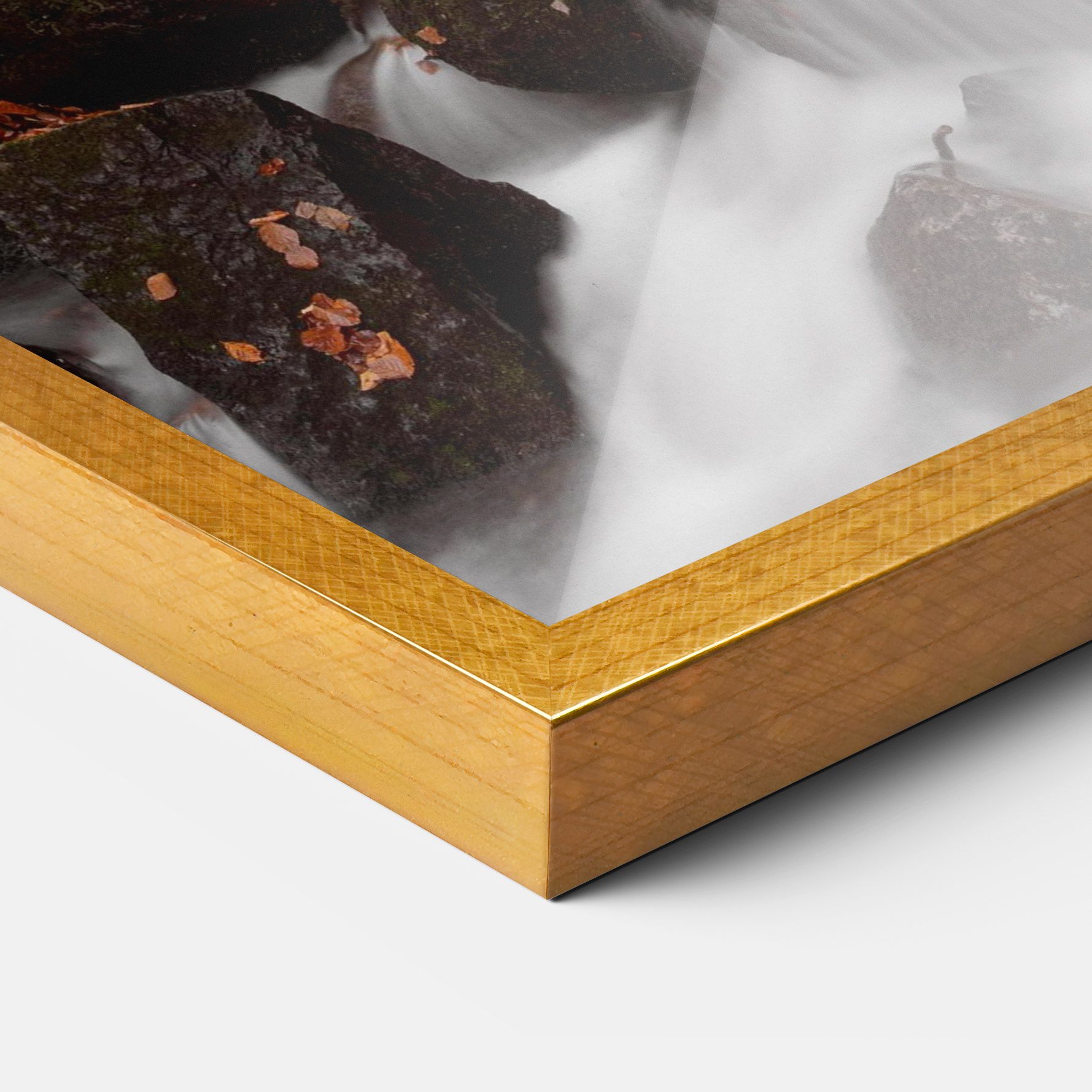 River Forest View mockup 3