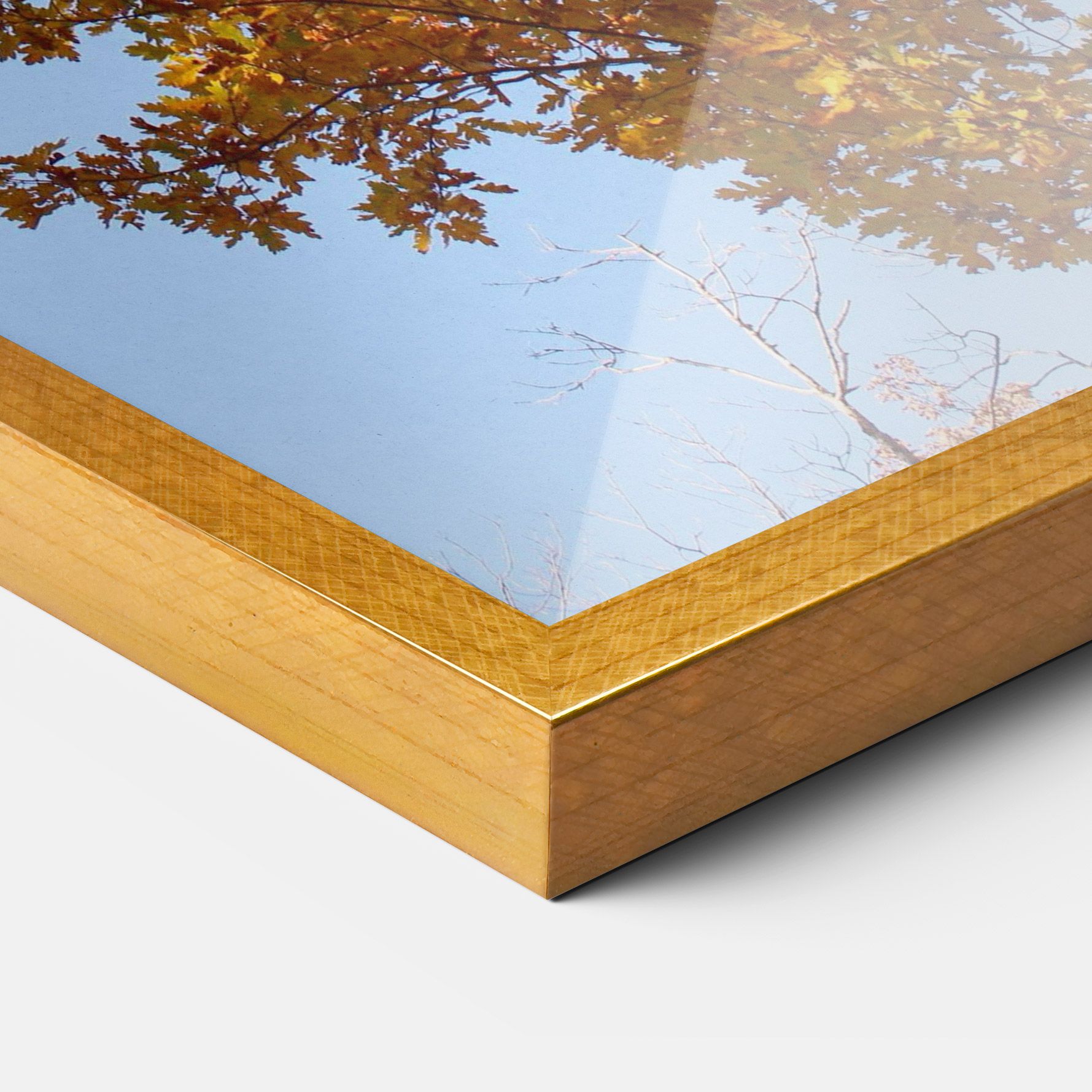 Yellow Tree Forest mockup 3