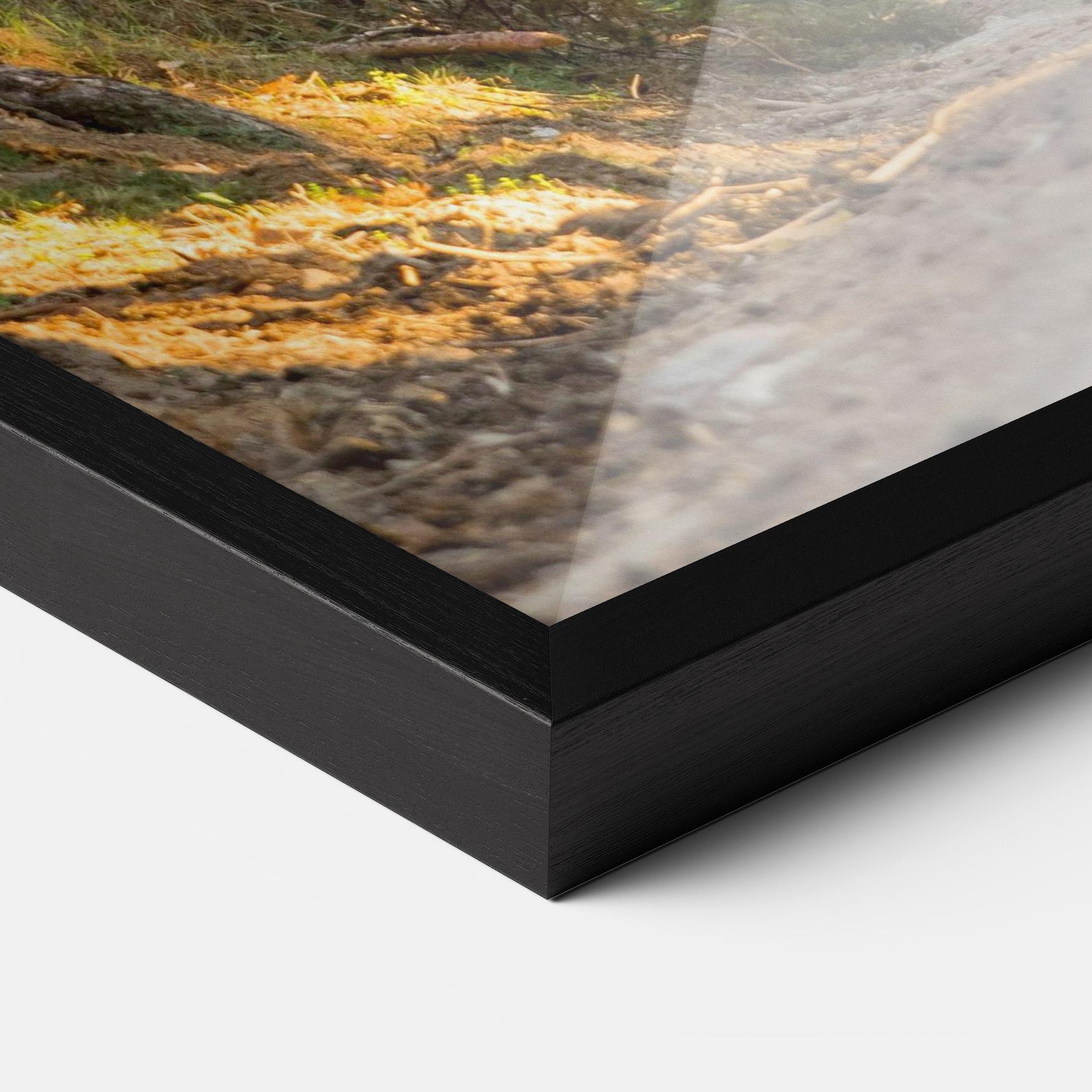 Poster Înrămat Big Trees Forest mockup 3