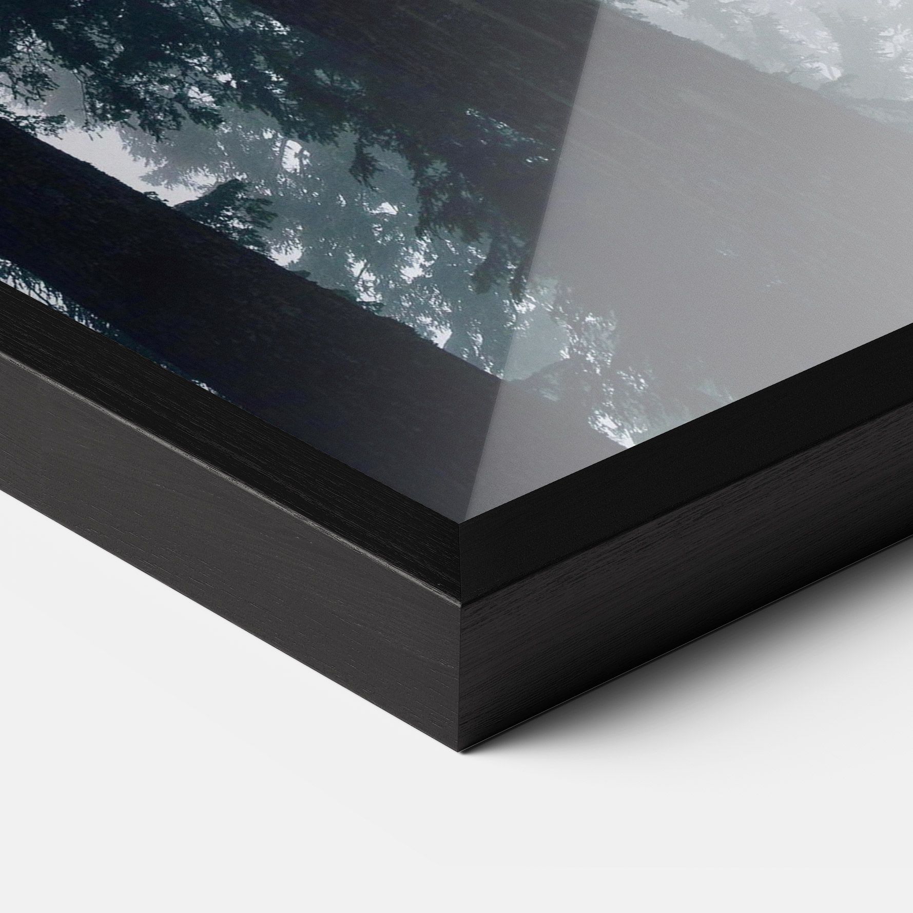 Foggy Big Trees mockup 3