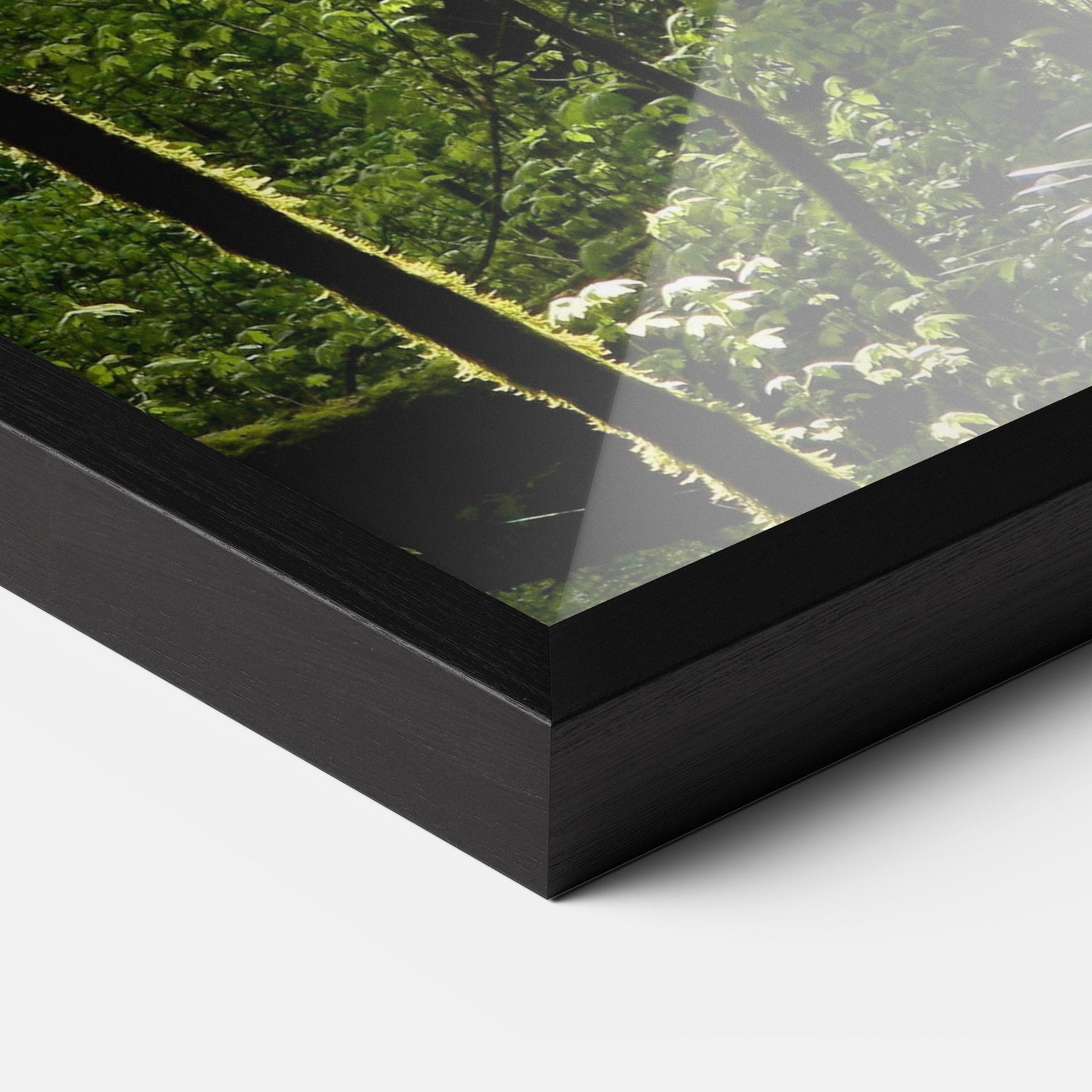 Poster Înrămat Forest Black Trees mockup 3