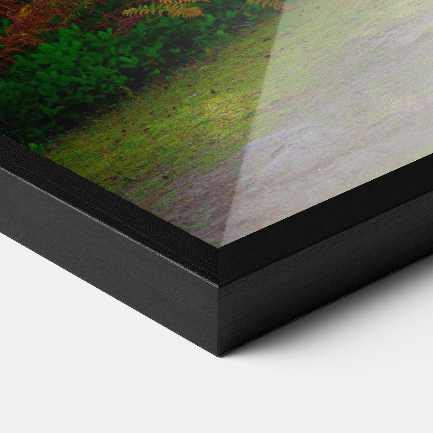 Poster Înrămat Forest Light mockup 3