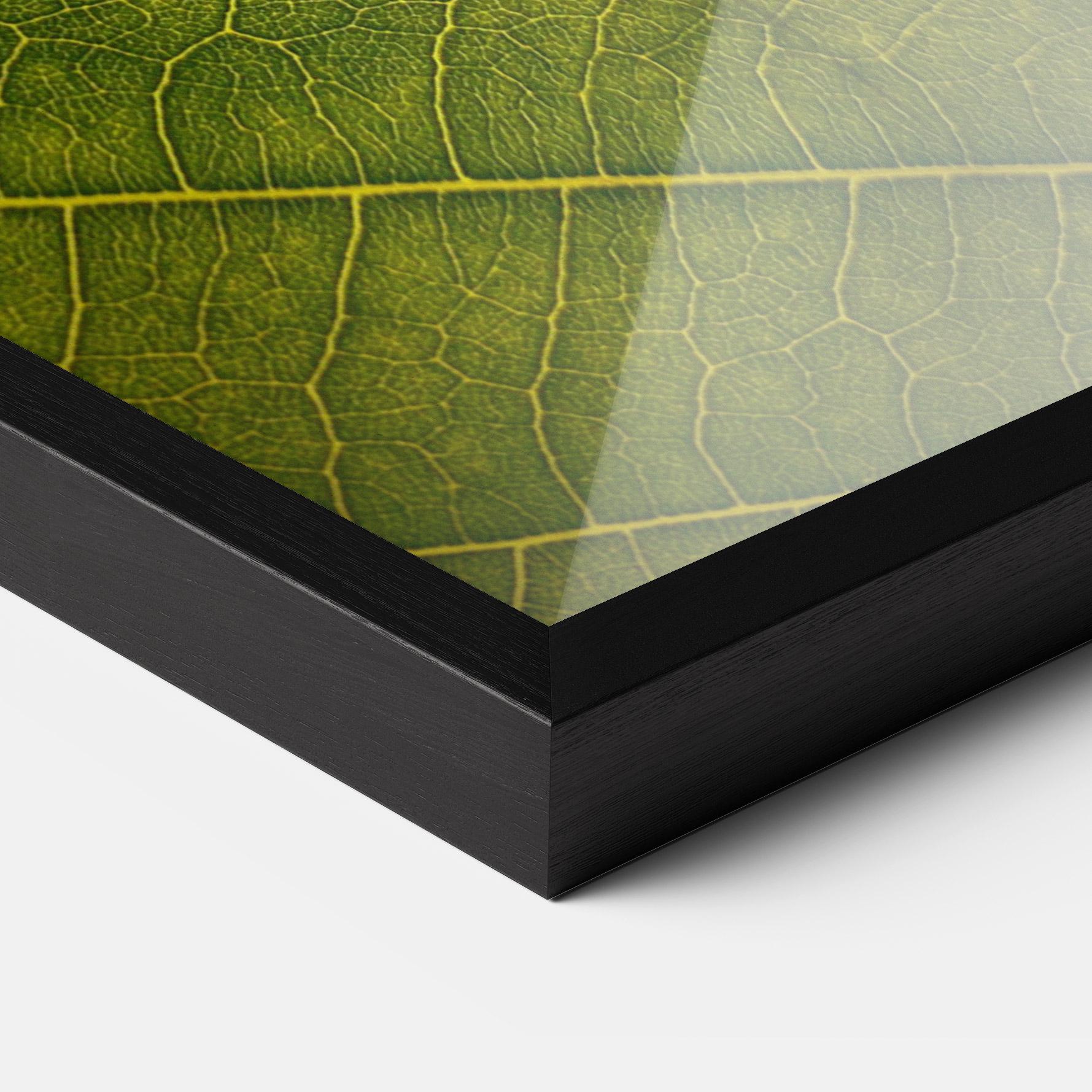 Poster Înrămat Leaf Closeup Forest mockup 3