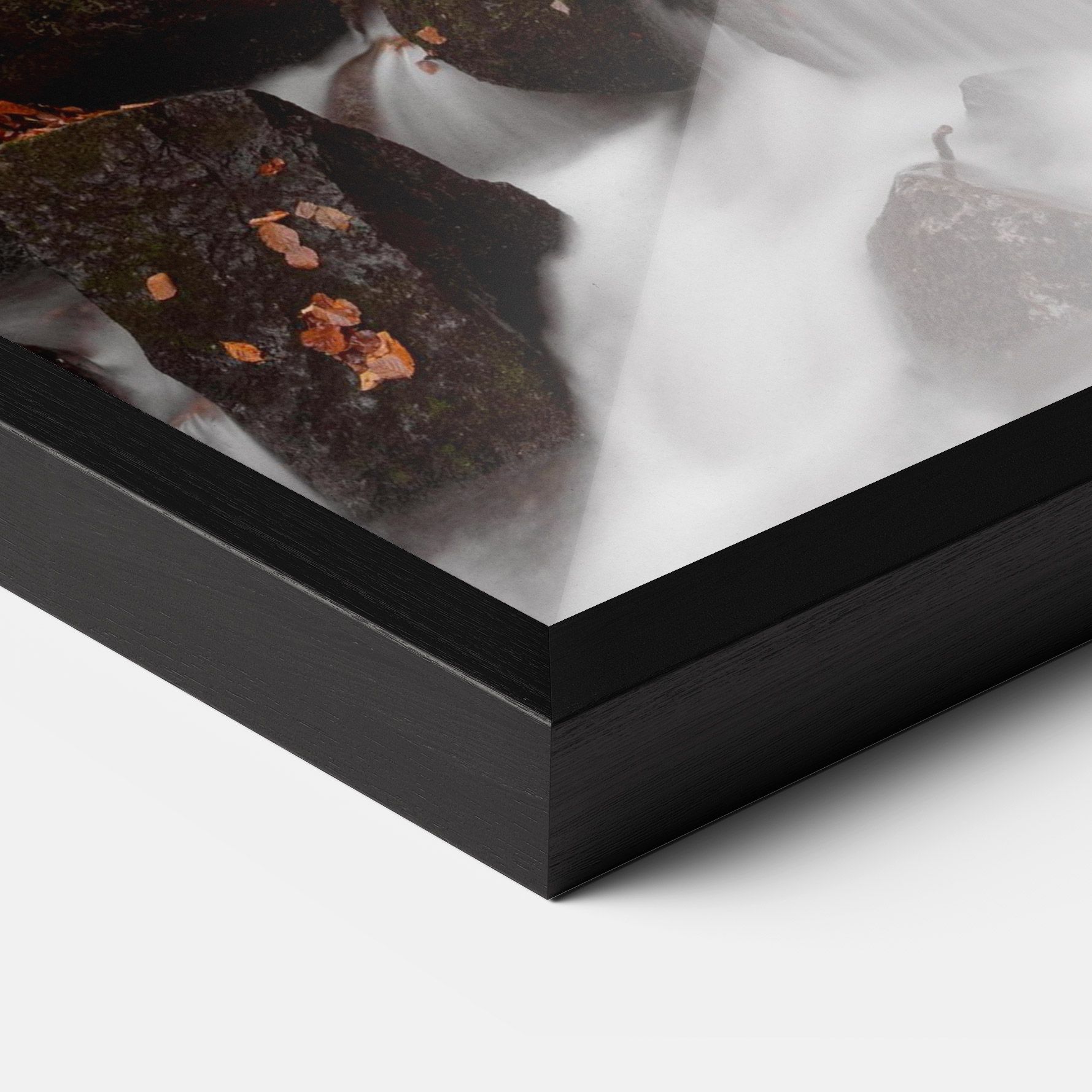 River Forest View mockup 3