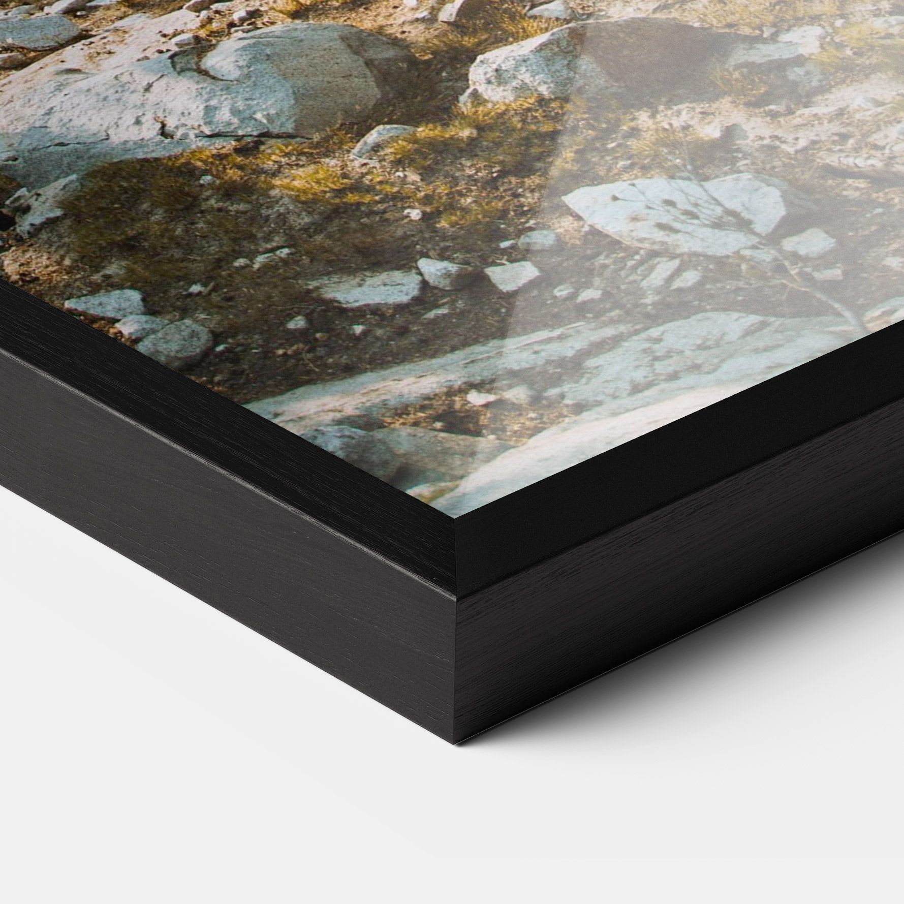 Rock Forest View mockup 3