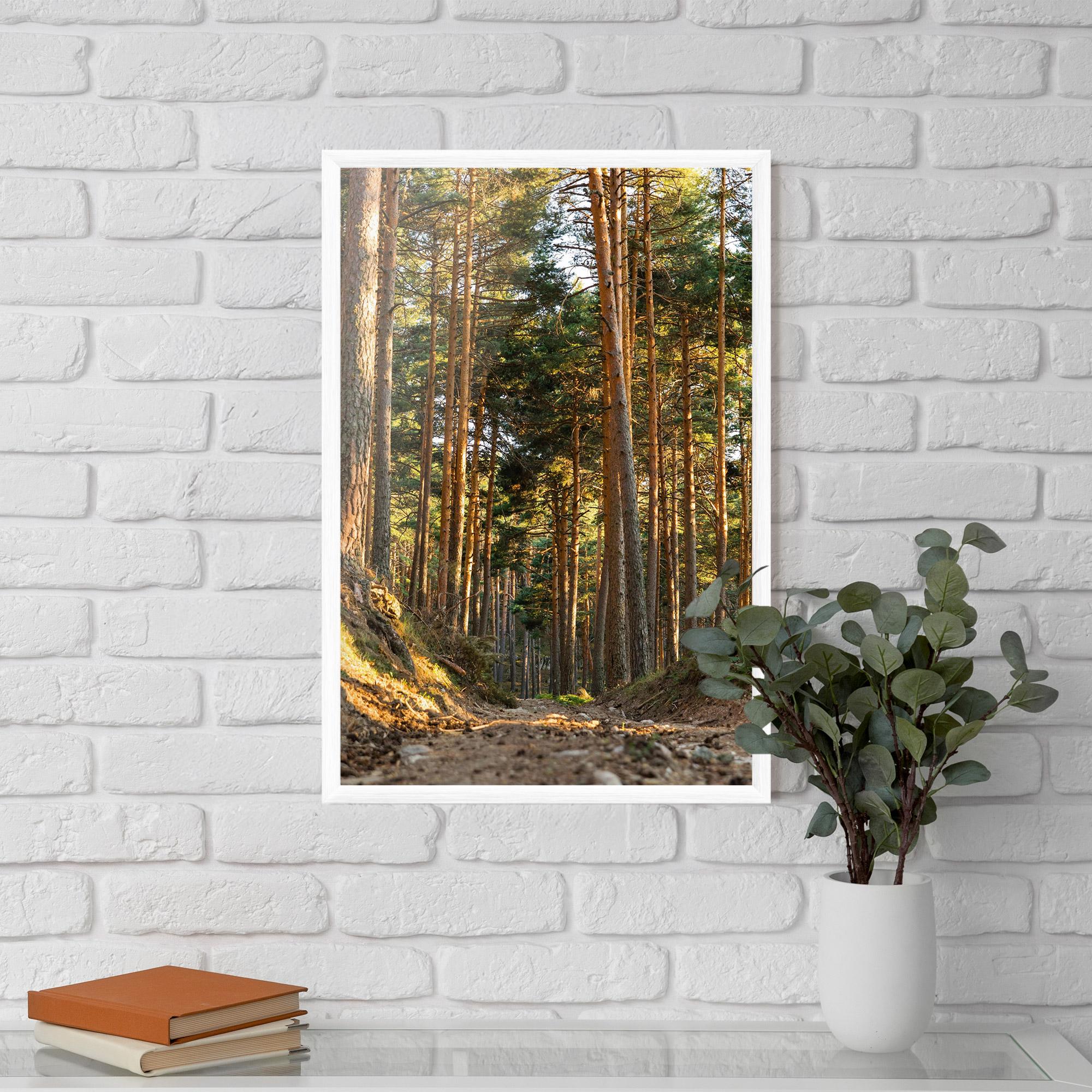 Poster Înrămat Big Trees Forest mockup 5