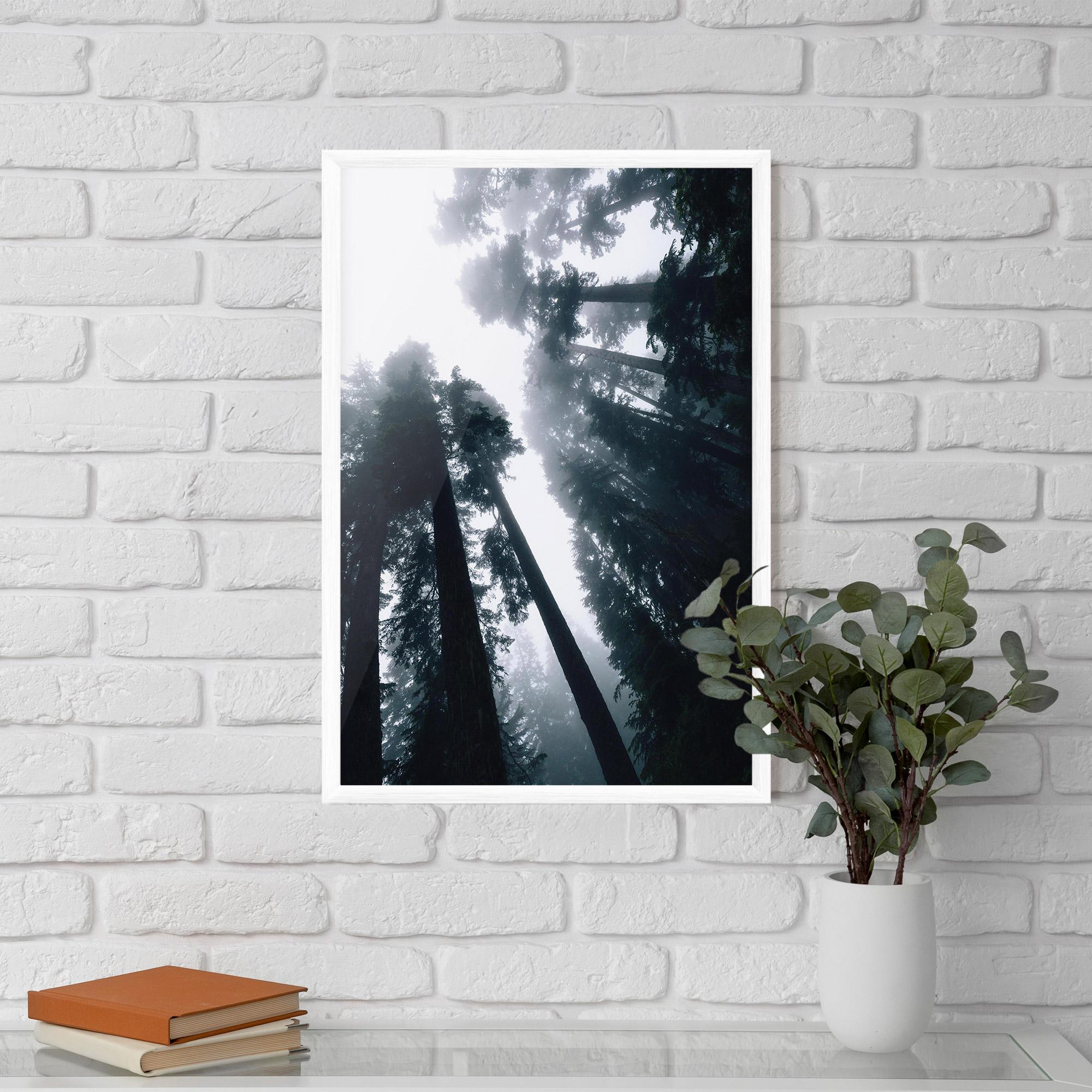 Poster Înrămat Foggy Big Trees mockup 5