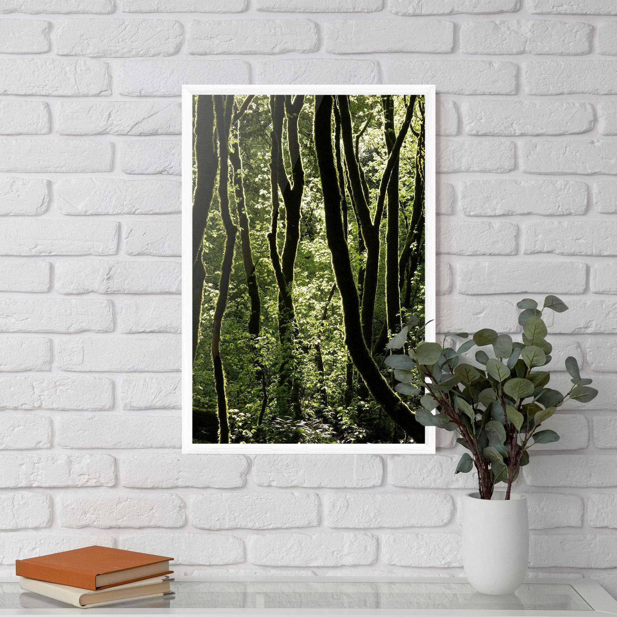 Poster Înrămat Forest Black Trees mockup 5