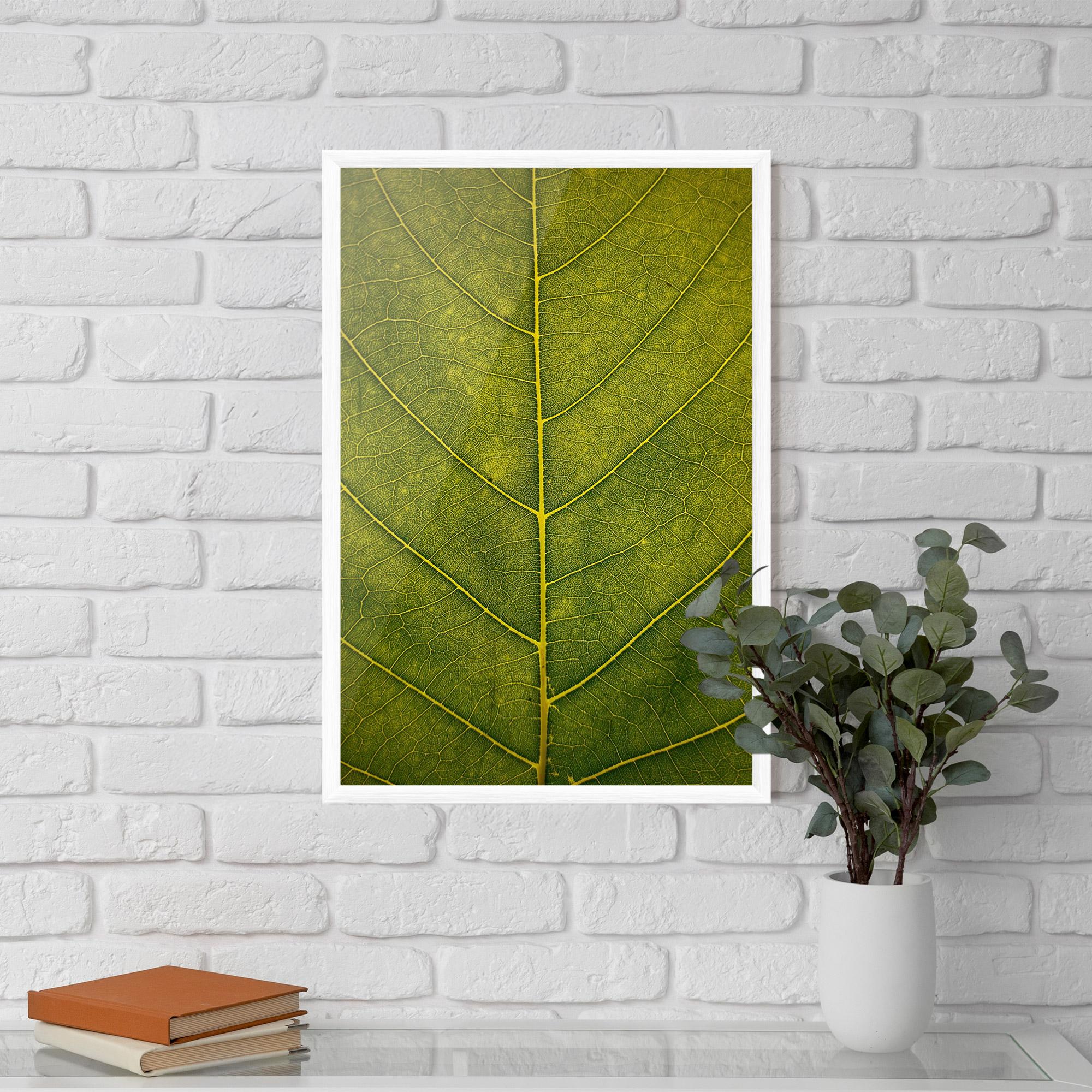 Poster Înrămat Leaf Closeup Forest mockup 5
